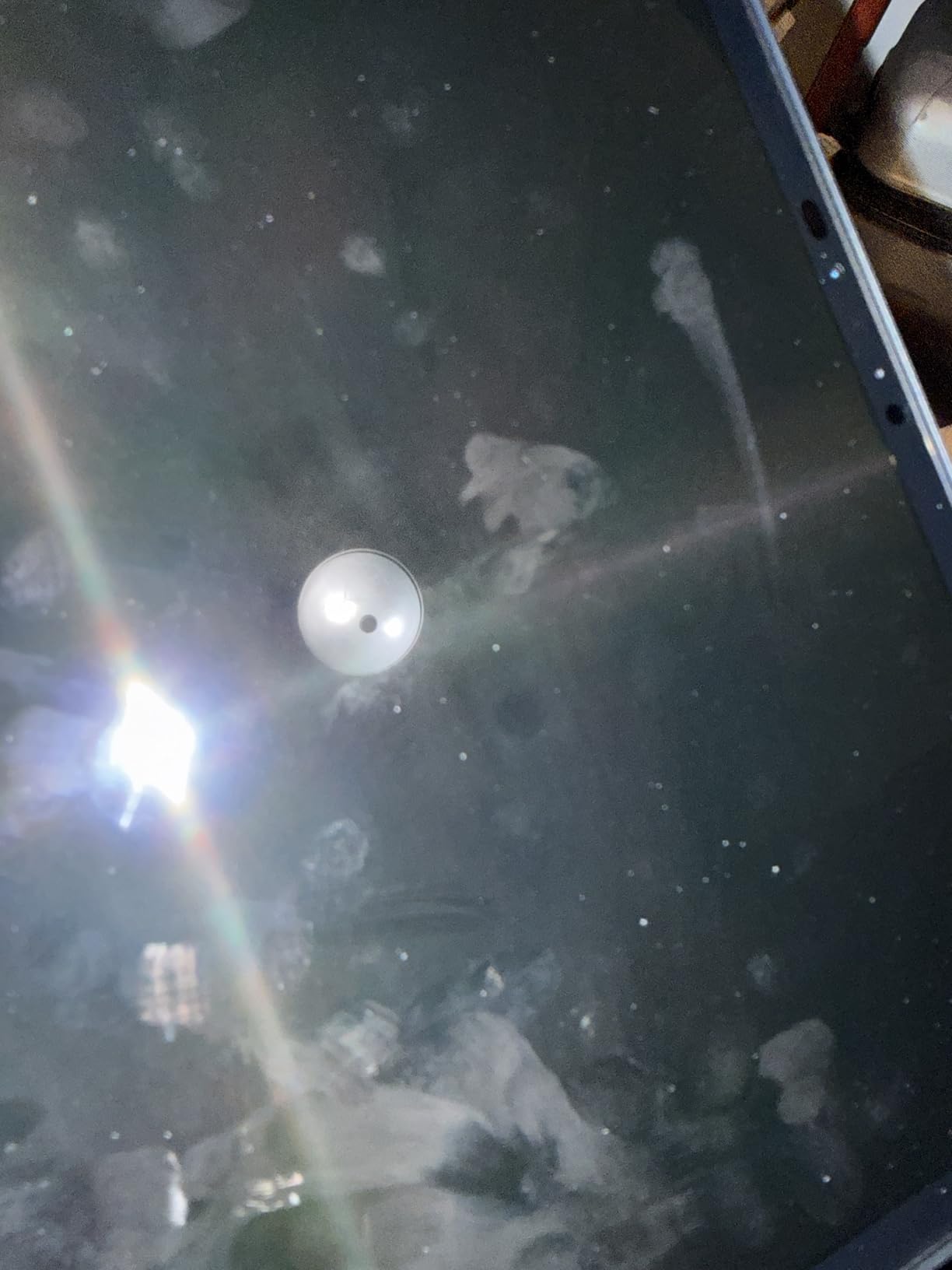 Apple iPad Pro 2024 (11-inch, Wi-Fi, 256GB) - Space Black (Renewed) - Customer Photo 1