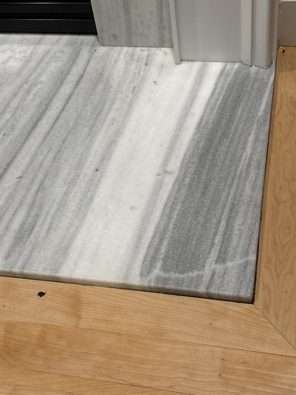 Raid Max Liquid Ant Bait; Kills Ants Where They Breed, for Indoor and Outdoor Use; 12 Bait Stations - Customer Photo 2