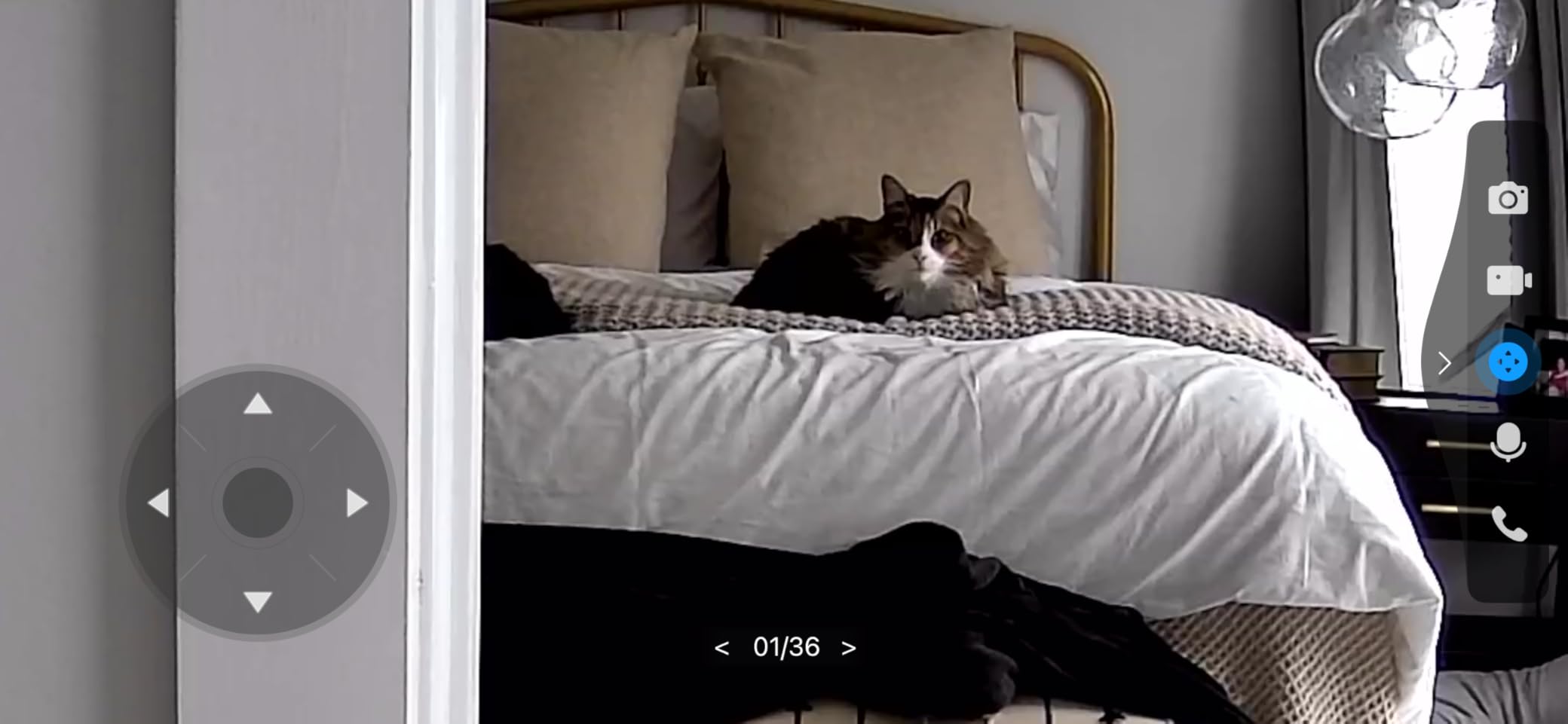 Tapo 2K Indoor Pan/Tilt Wired Security Camera - Works as a Baby Monitor & Pet Camera, Motion Detection, 2-Way Audio, Siren, Night Vision, C211 (2-Pack) - Customer Photo 1