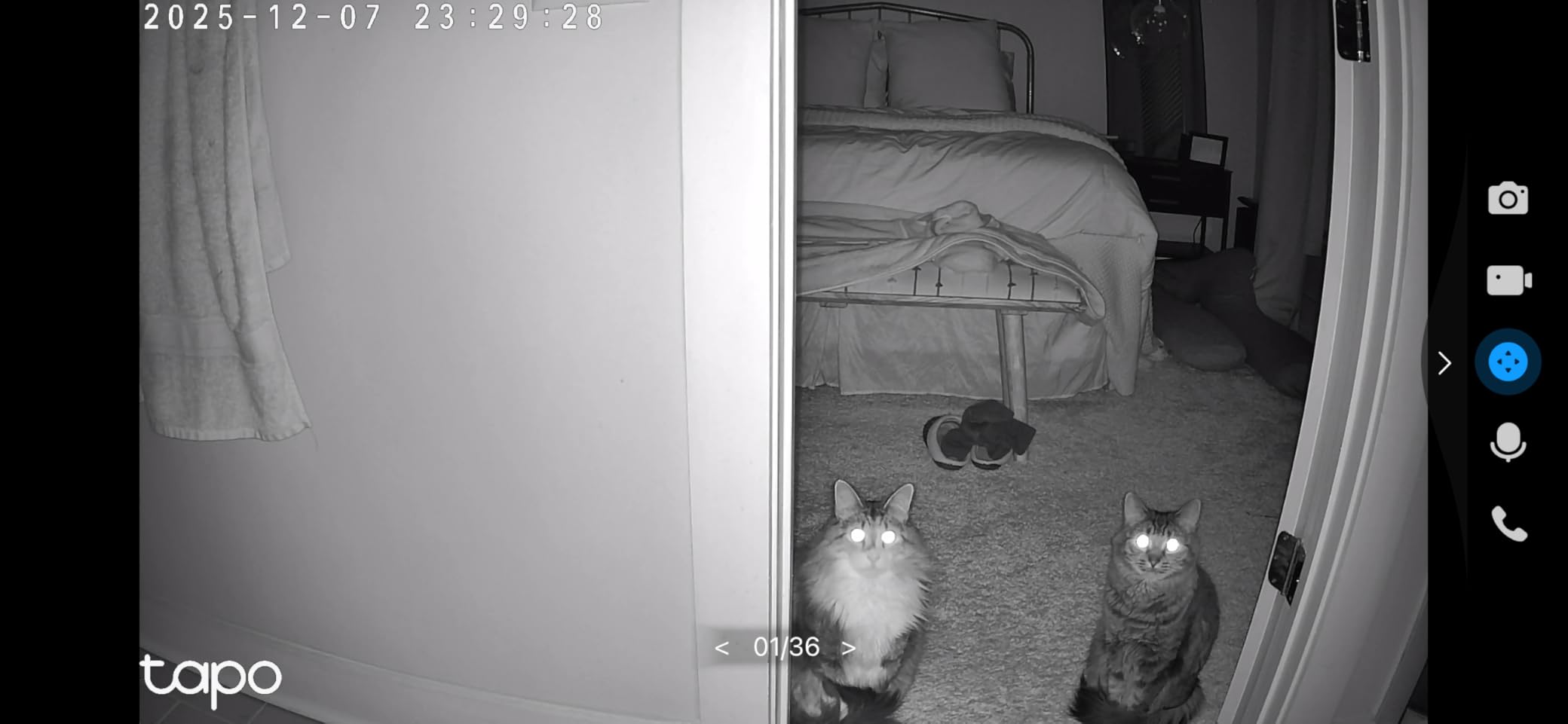 Tapo 2K Indoor Pan/Tilt Wired Security Camera - Works as a Baby Monitor & Pet Camera, Motion Detection, 2-Way Audio, Siren, Night Vision, C211 (2-Pack) - Customer Photo 2