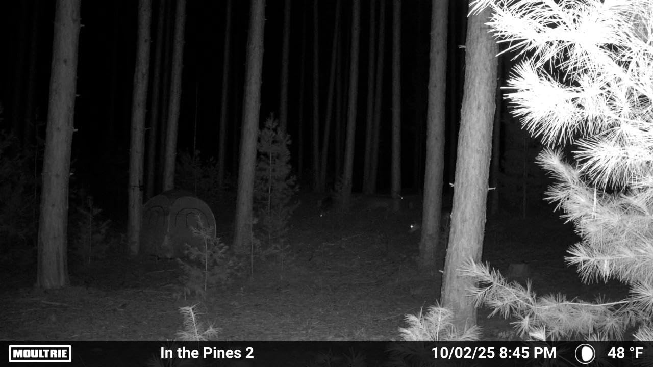 Moultrie Edge 2 Cellular Trail Camera - Auto Connect Nationwide 4G LTE - On Demand 36MP Photo - 1080P Video with HD Audio - 100 Ft Detection Range - Low Glow Flash - Customer Photo 1