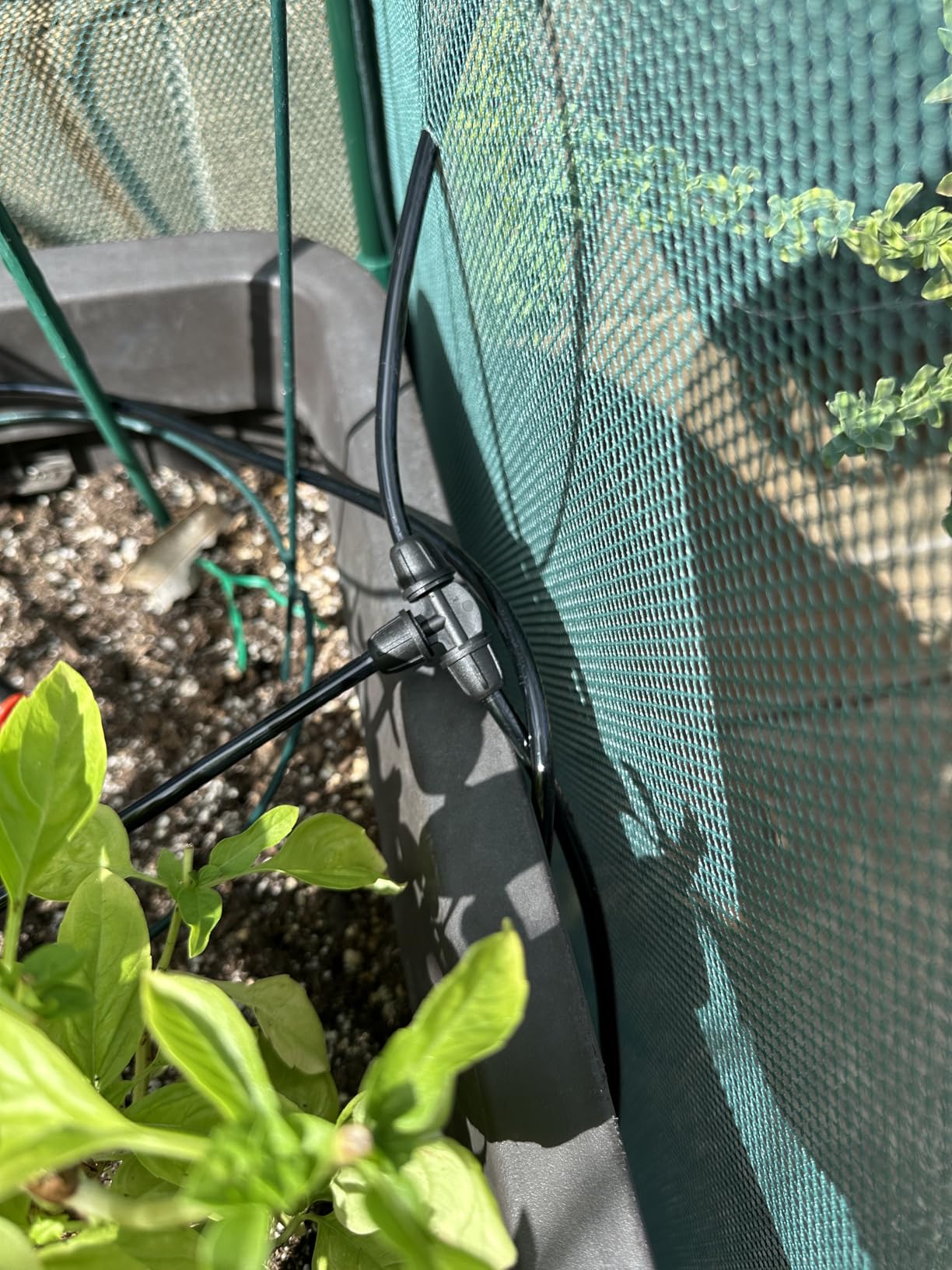 LetPot Automatic Watering System for Potted Plants, [Wi-Fi & App Control] Drip Irrigation Kit System, Smart Plant Watering Devices for Indoor Outdoor, Water Shortage Remind, IPX66, Green - Customer Photo 1