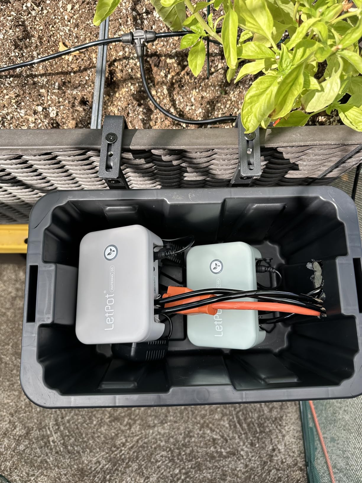 LetPot Automatic Watering System for Potted Plants, [Wi-Fi & App Control] Drip Irrigation Kit System, Smart Plant Watering Devices for Indoor Outdoor, Water Shortage Remind, IPX66, Green - Customer Photo 2