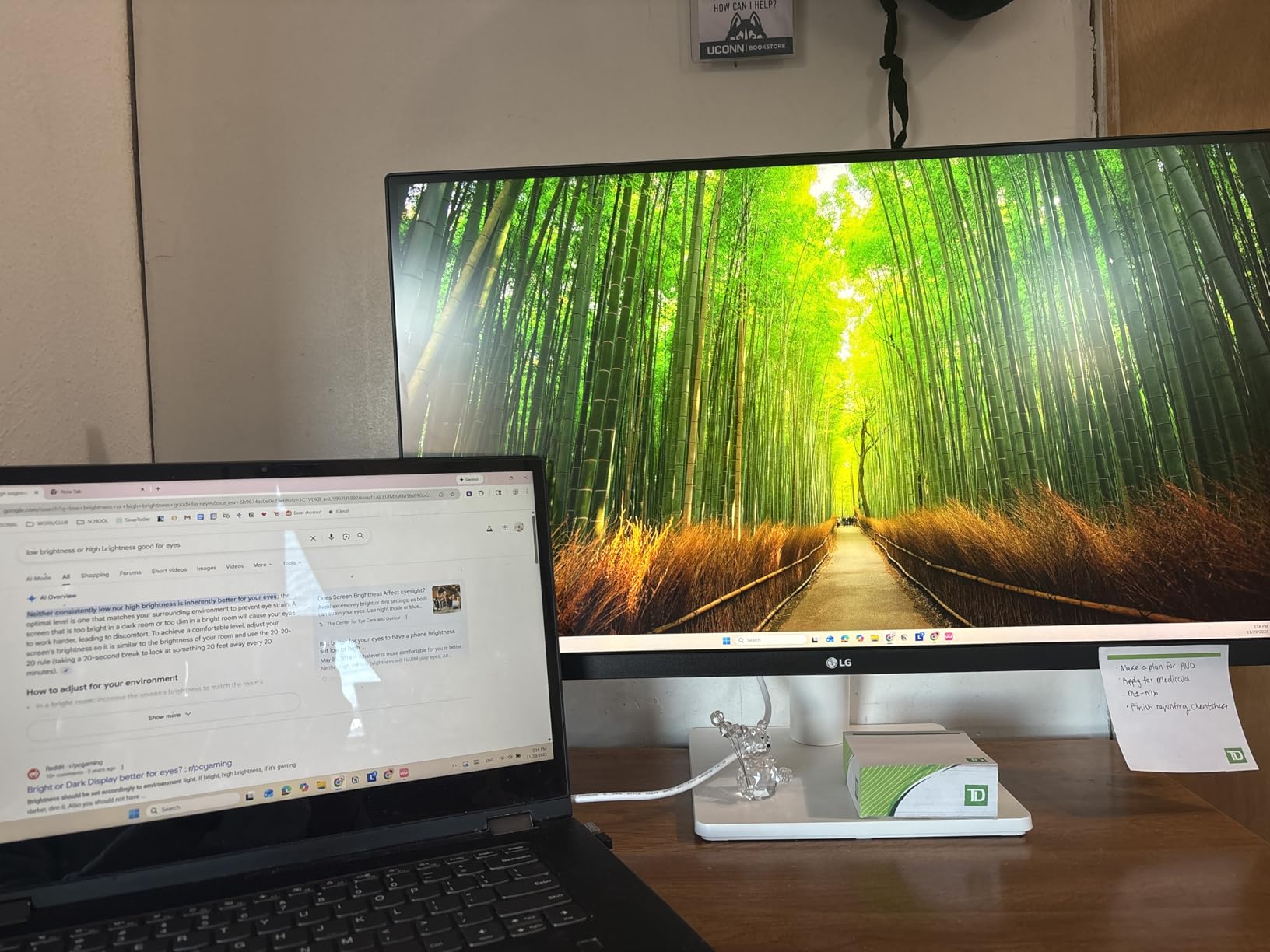 LG 27US500-W Ultrafine Monitor 27-Inch 4K UHD (3840x2160) HDR10 IPS Borderless Design Reader Mode Flicker Safe Switch App HDMI DisplayPort - White - Customer Photo 1