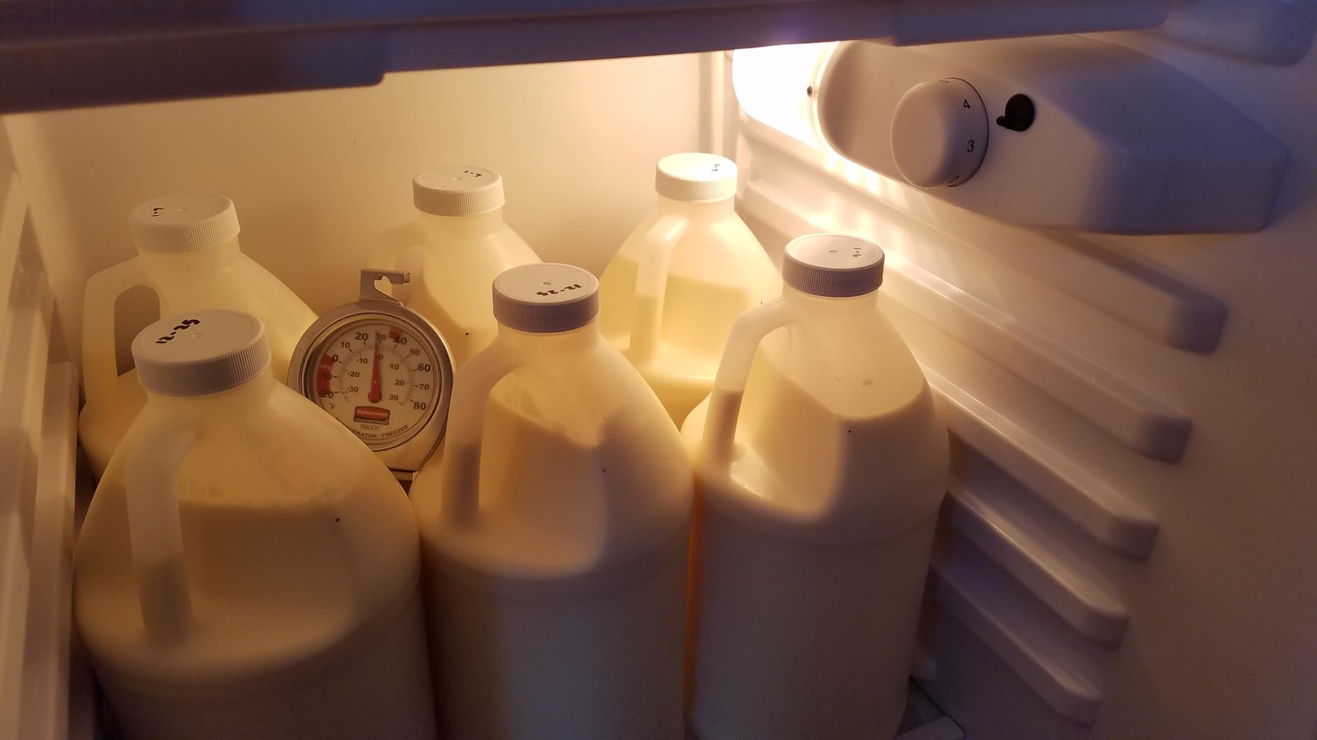 EUHOMY 3.2 Cu.Ft Mini Fridge with Freezer, Single Door Compact Refrigerator, Adjustable Thermostat, Mini Refrigerator Energy Saving, Mini fridge for Bedroom, Dorm, Office, Black - Customer Photo 1