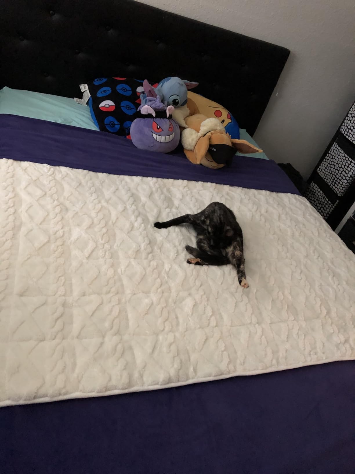 Super Fuzzy Soft Sherpa Fleece Weighted Blanket, 15 lbs Dual Sided Fluffy Heavy Weighted Blankets for Adults - No Bunching with Double Layers of Soft Inner Lining (60