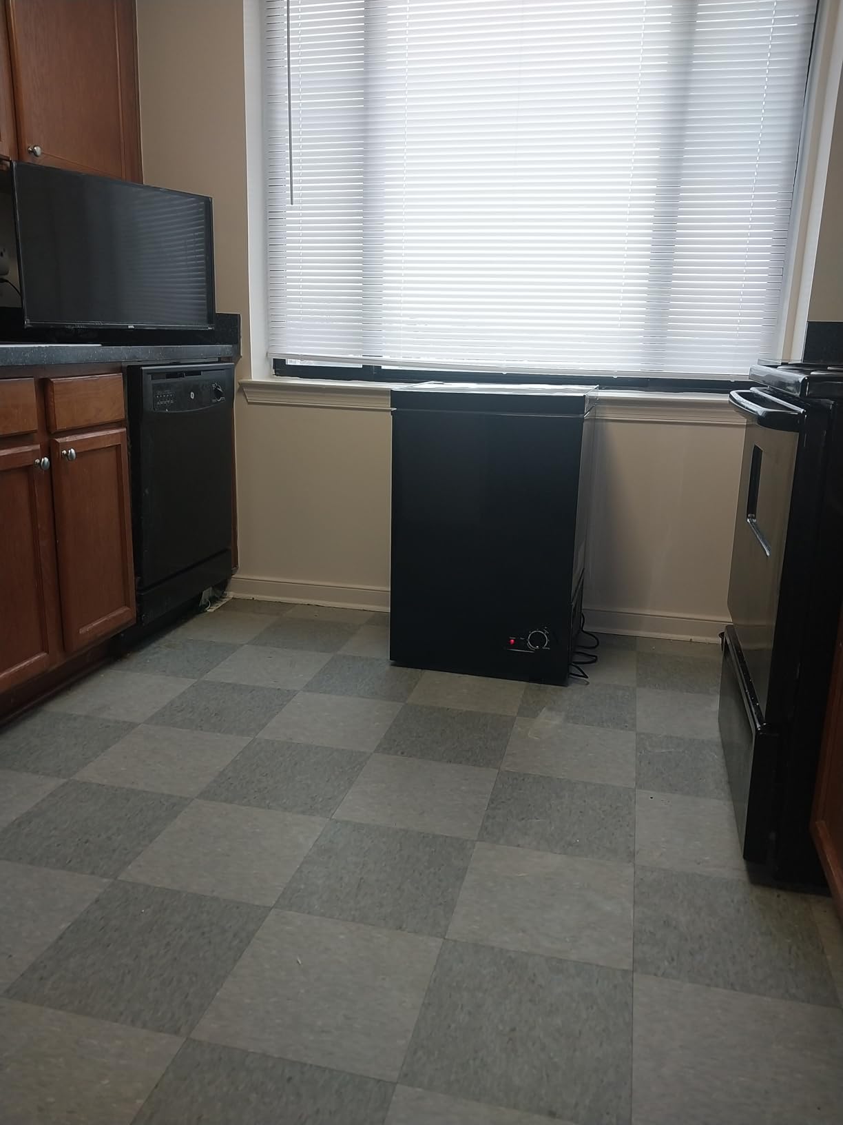 7.0 Cu Ft Chest Freezer - Energy Efficient & Quiet Mini Freezer with Adjustable Thermostat - Compact Deep Freezer for Home, Apartment, and Garage - Removable Basket & Defrost Drain - Customer Photo 2