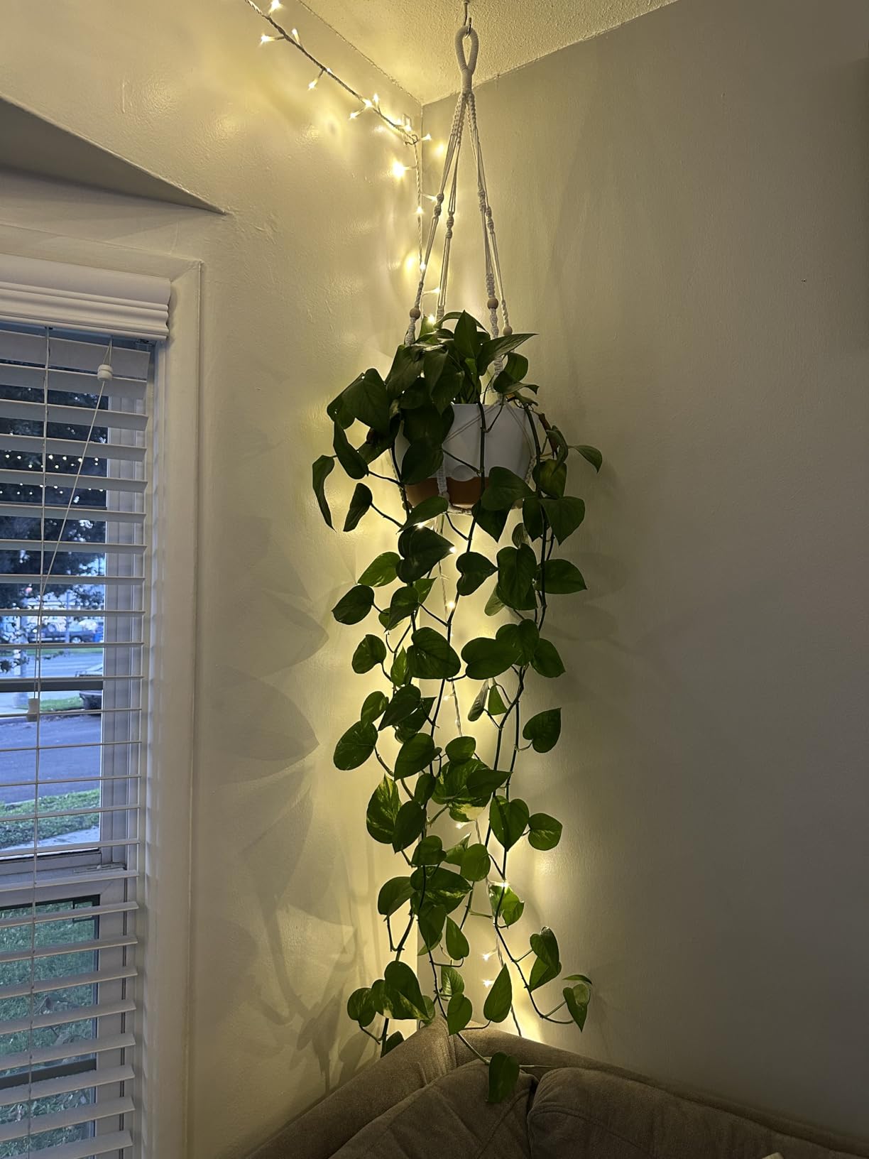 Set of 2-10 Inch Hanging Planters for Indoor Plants with Self-Watering Includes Hanging Pots for Plants, Outdoor Hanging Plant Pot with Drainage, and 2 Types of Hanging Baskets Hangers (White, 10inch) - Customer Photo 1