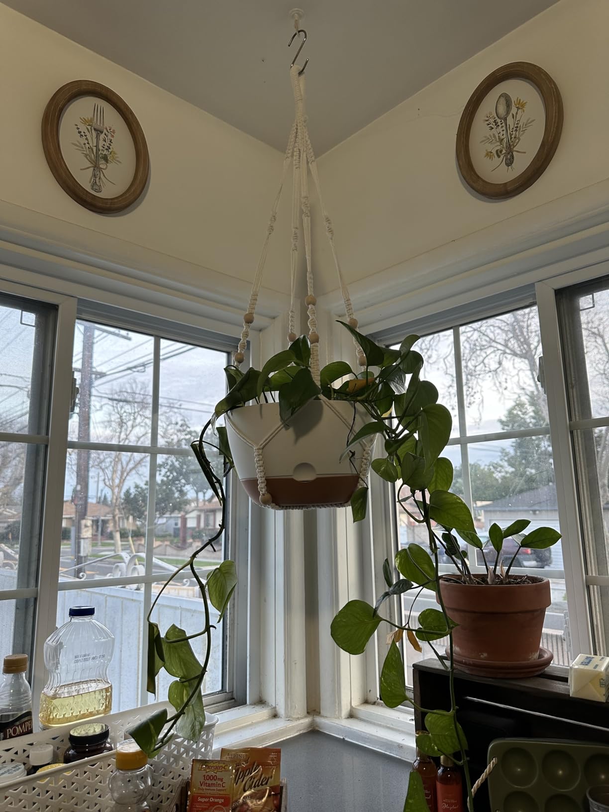 Set of 2-10 Inch Hanging Planters for Indoor Plants with Self-Watering Includes Hanging Pots for Plants, Outdoor Hanging Plant Pot with Drainage, and 2 Types of Hanging Baskets Hangers (White, 10inch) - Customer Photo 2