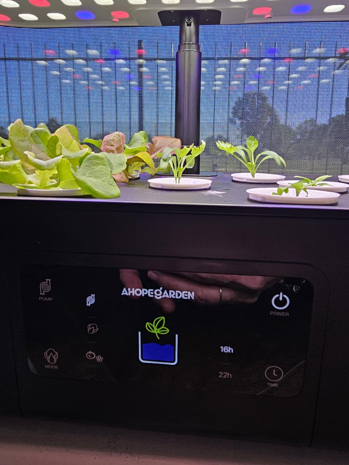 Ahopegarden Hydroponics Growing System Kit Indoor Herb Garden with Grow Light 12 Pods, with LCD Touch Panel Hydroponic Planter, Planting Height Up to 17