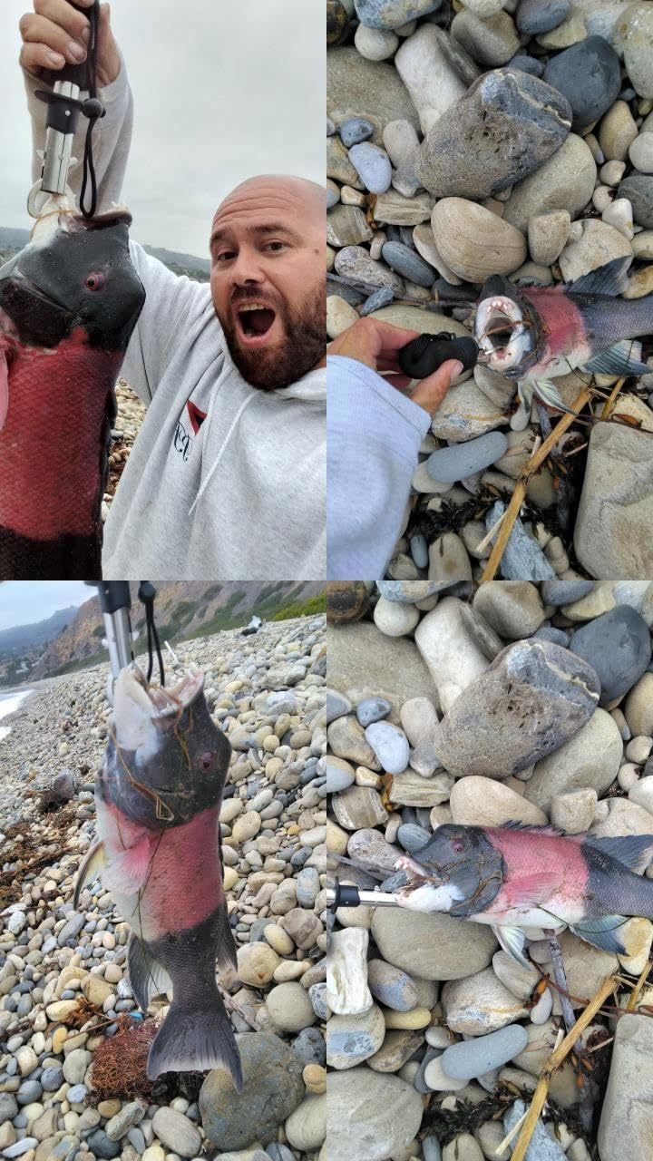 SwellPro FD1+ Fisherman Best Fishing Drone with Bait Release, 4.8 LBS Payload, 1.3KM Range, IP67 Waterproof, Auto Return & Flip, Self-floating, Entry-Level, No Camera Included - Customer Photo 1