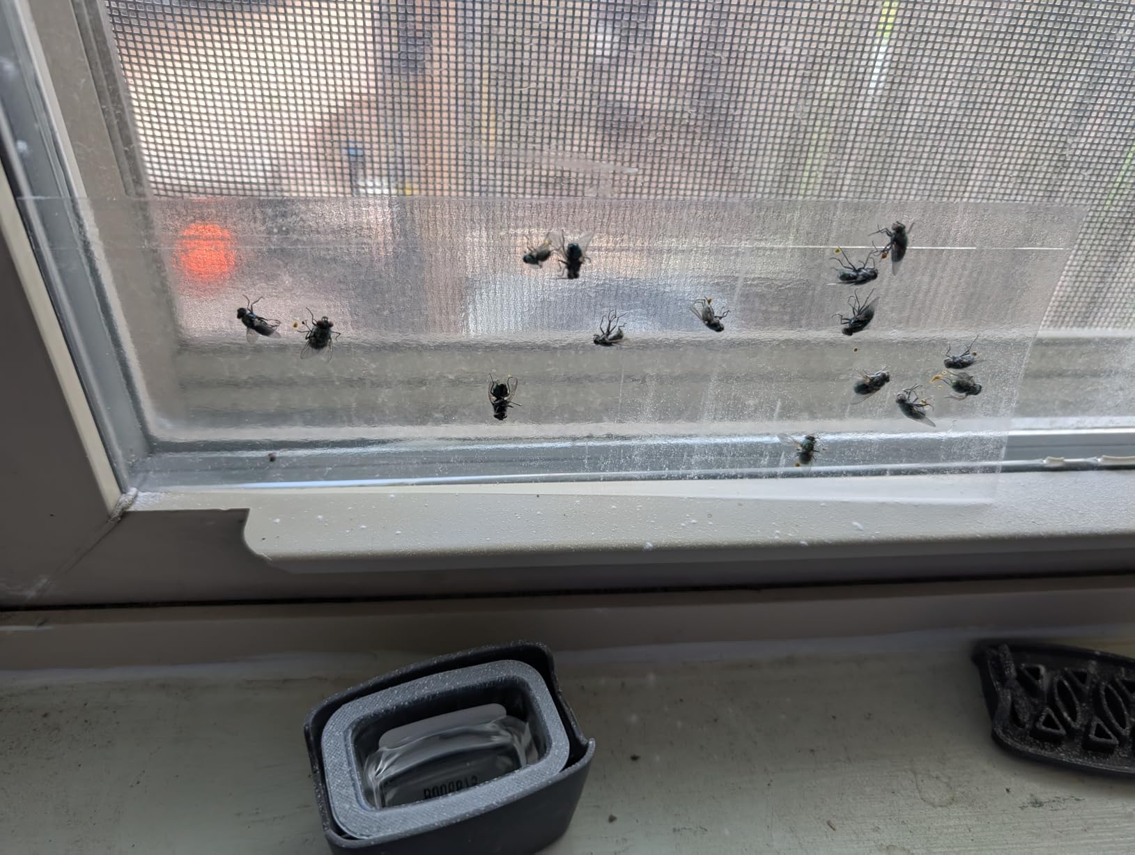 Hot Shot Flying Insect Trap, Discreet, Hassle-Free Trap Attracts, Captures House Flies and Fruit Flies, 24/7 Continuous Attraction, No Plug-in Or Electricity Needed, 6 Count - Customer Photo 2