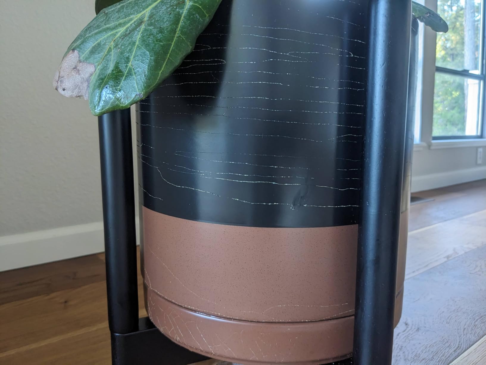 D'vine Dev Ceramic Planter with Ebony Stand - 10 Inch Modern Round Flower Pot with Wood Planter Holder, Black, 55-B-L-2 - Customer Photo 1