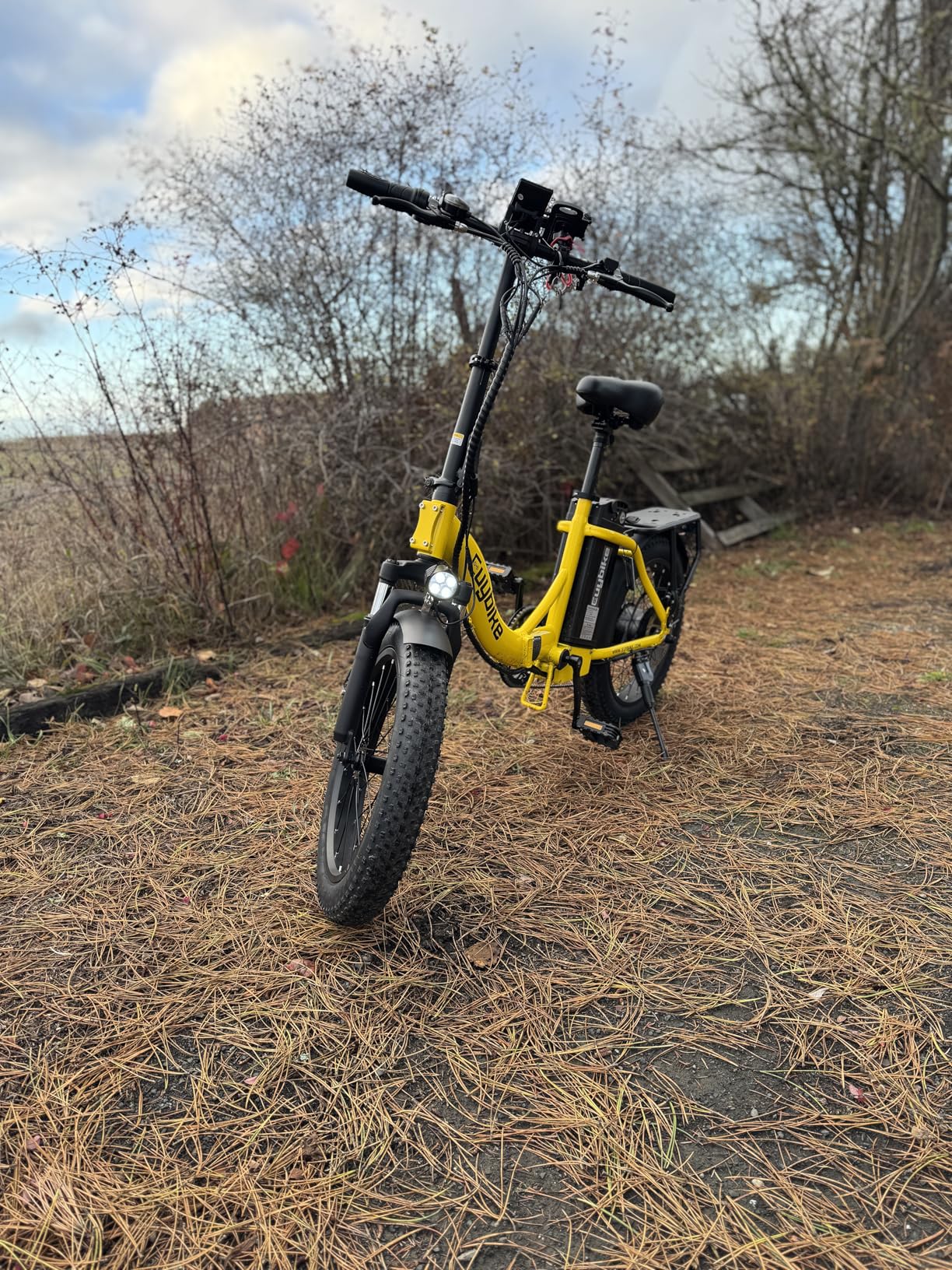 Kebiko 1000W Folding Electric Bike, 48V 20AH Removable Battery E Bike, 30+MPH, 80 Miles Max Range Electric Bike for Adults, 20