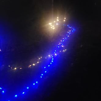 Brightown 60 LED Flower Solar String Lights Outdoor Waterproof Fairy Lights for Garden Yard Fence Patio Christmas Tree Wedding Party Decor, Multicolor - Customer Photo 1