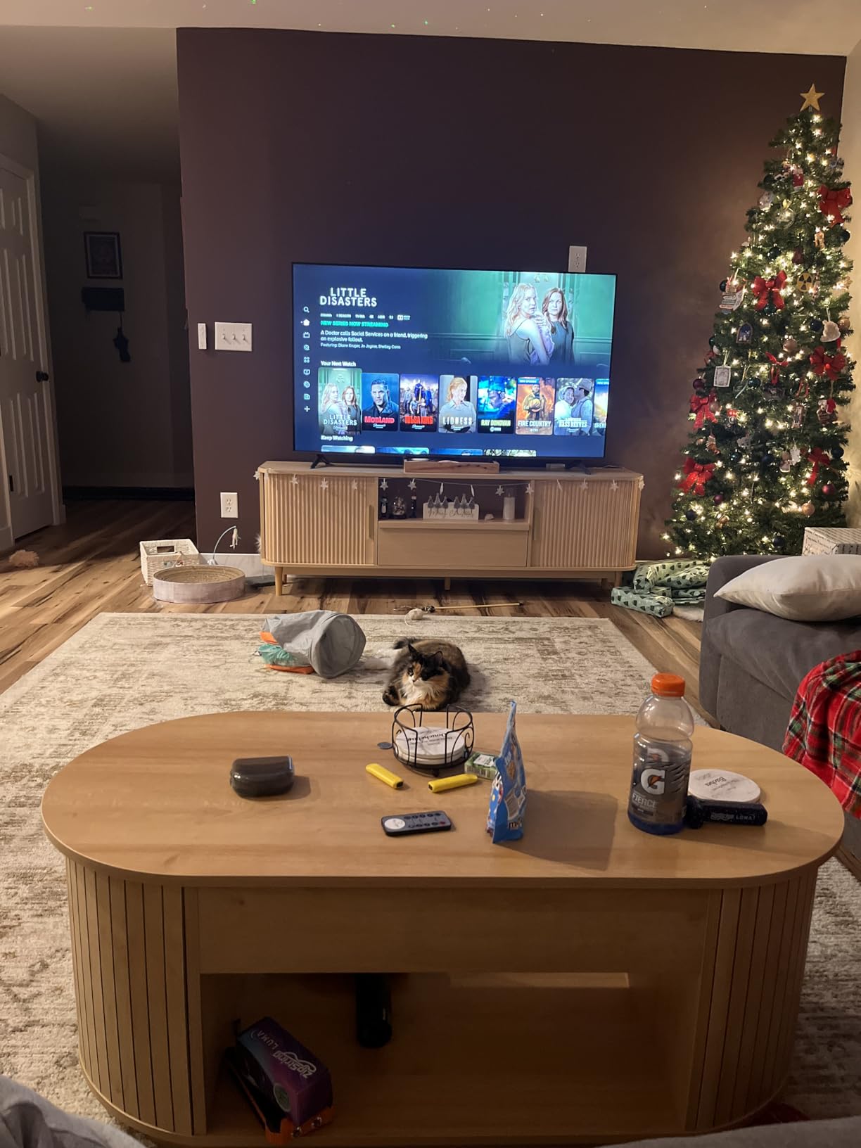 INSIGNIA 65-inch Class F50 Series LED 4K UHD Smart Fire TV with Alexa Voice Remote (NS-65F501NA24) - Customer Photo 2