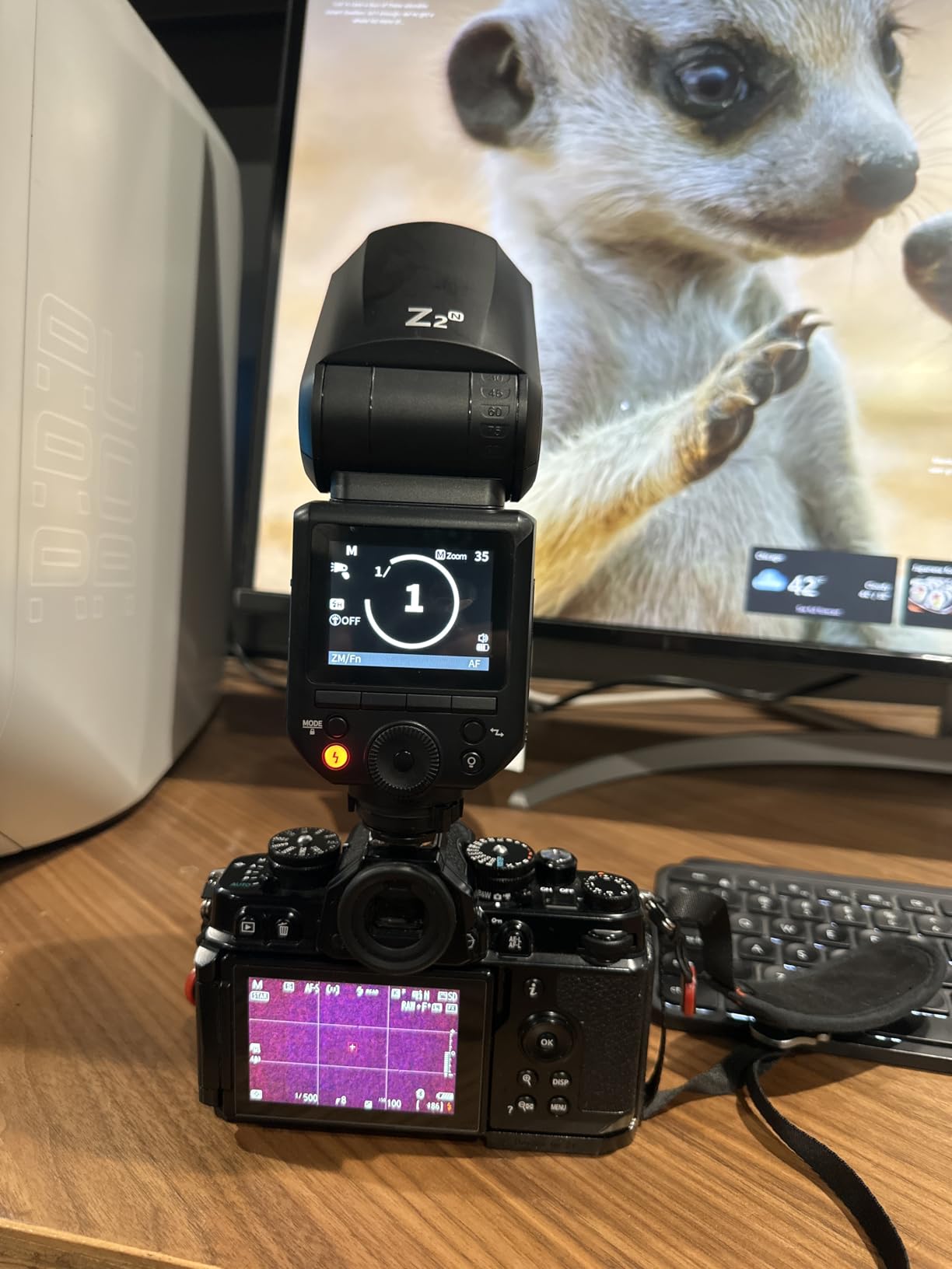 NEEWER Z2PRO-C 2.4G TTL Round Head Flash Speedlite Compatible with Canon, Wireless Compatible with Godox, Upgraded UI, 76Ws 1/8000s HSS, TTL/M TCM Switch, 7.2V/3000mAh Battery, 600 Full Power Flash customer photo 2