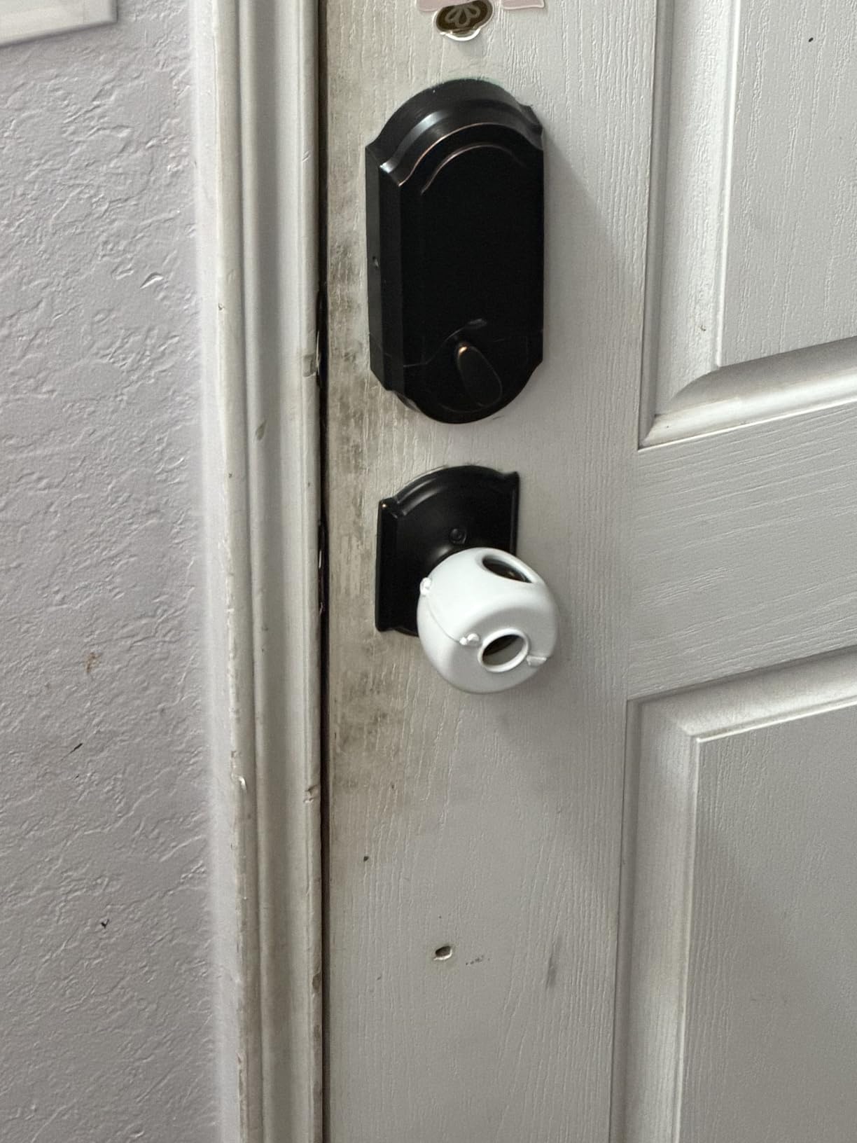 Steam Cleaner,15s Heat-Up,1.6L Tank,3-Level Adjustable Handle,2500W Steamer for Cleaning,Portable Steamer for Cleaning with 16PCS Accessories,Steam Cleaner for Home,Car,Dirt,Grease,Grout,Tile,Couch - Customer Photo 1