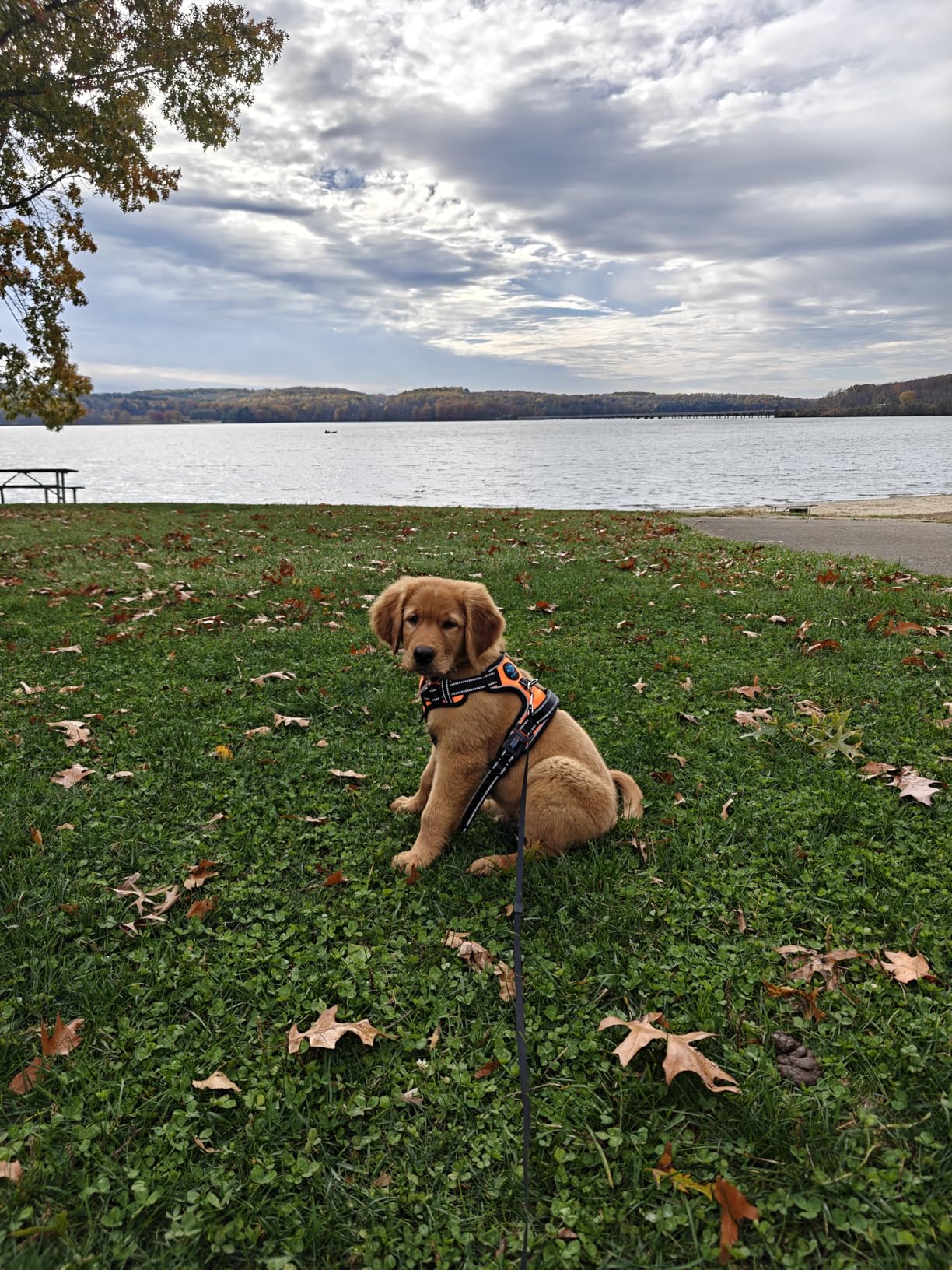 OnePlus 13, 12GB RAM + 256GB Storage, Dual-SIM, Unlocked Android Smartphone, Snapdragon 8 Elite, 80W SUPERVOOC Fast Charging and 50W AIRVOOC Charging, Advanced Hasselblad Camera, 2025, Black Eclipse - Customer Photo 2