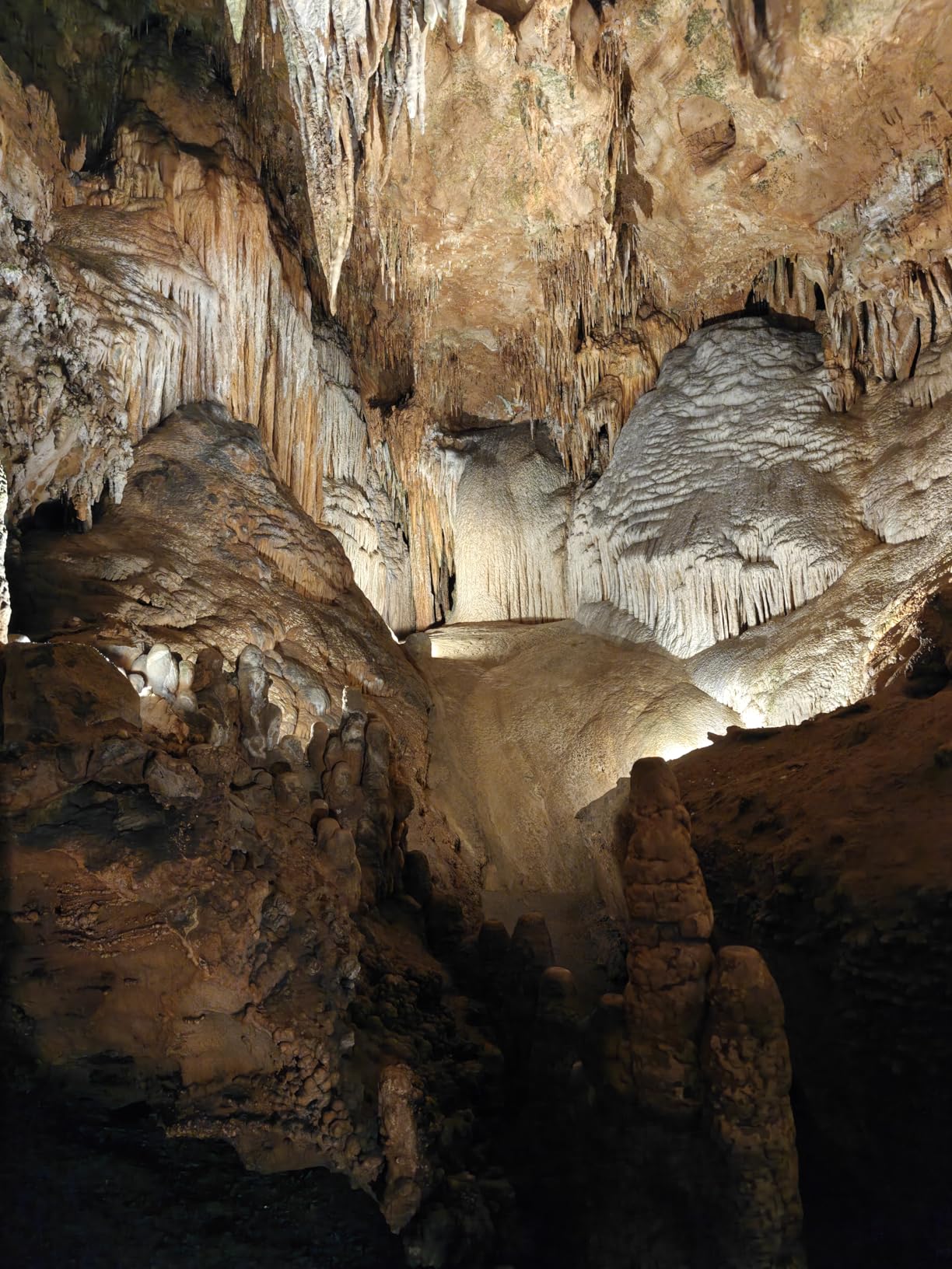 OnePlus 13, 12GB RAM + 256GB Storage, Dual-SIM, Unlocked Android Smartphone, Snapdragon 8 Elite, 80W SUPERVOOC Fast Charging and 50W AIRVOOC Charging, Advanced Hasselblad Camera, 2025, Black Eclipse - Customer Photo 3