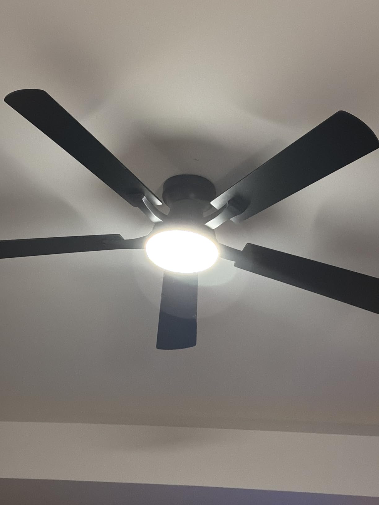 ZMISHIBO 52 Inch Ceiling Fan with Light, App&Remote Control, Flush Mount Low Profile, Dimmable 20W LED Light, Quiet Reversible Motor for Bedroom, Living Room, Apartment, Black - Customer Photo 1