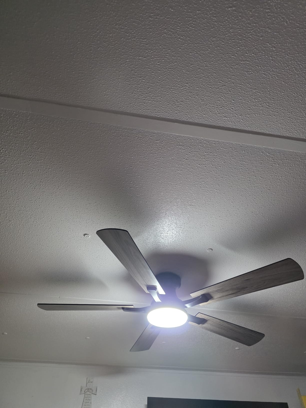 ZMISHIBO 52 Inch Ceiling Fan with Light, App&Remote Control, Flush Mount Low Profile, Dimmable 20W LED Light, Quiet Reversible Motor for Bedroom, Living Room, Apartment, Black - Customer Photo 2