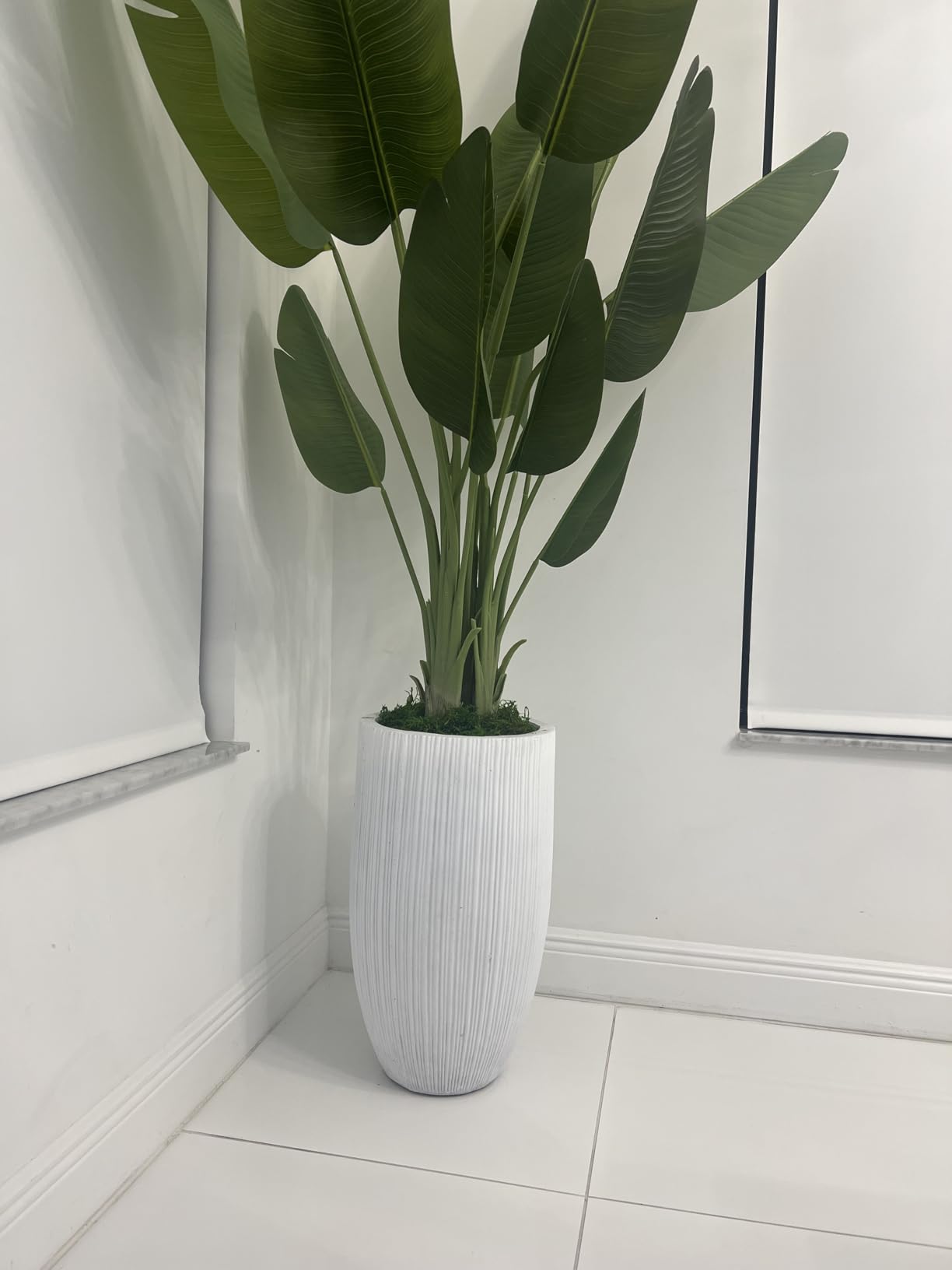 Kante 24 Inch Tall Round Concrete Planter, Large Indoor Outdoor Plant Pots with Drainage Hole and Rubber Plug, Modern Decorative Garden Pots for Home Patio Porch, Weathered Concrete - Customer Photo 2