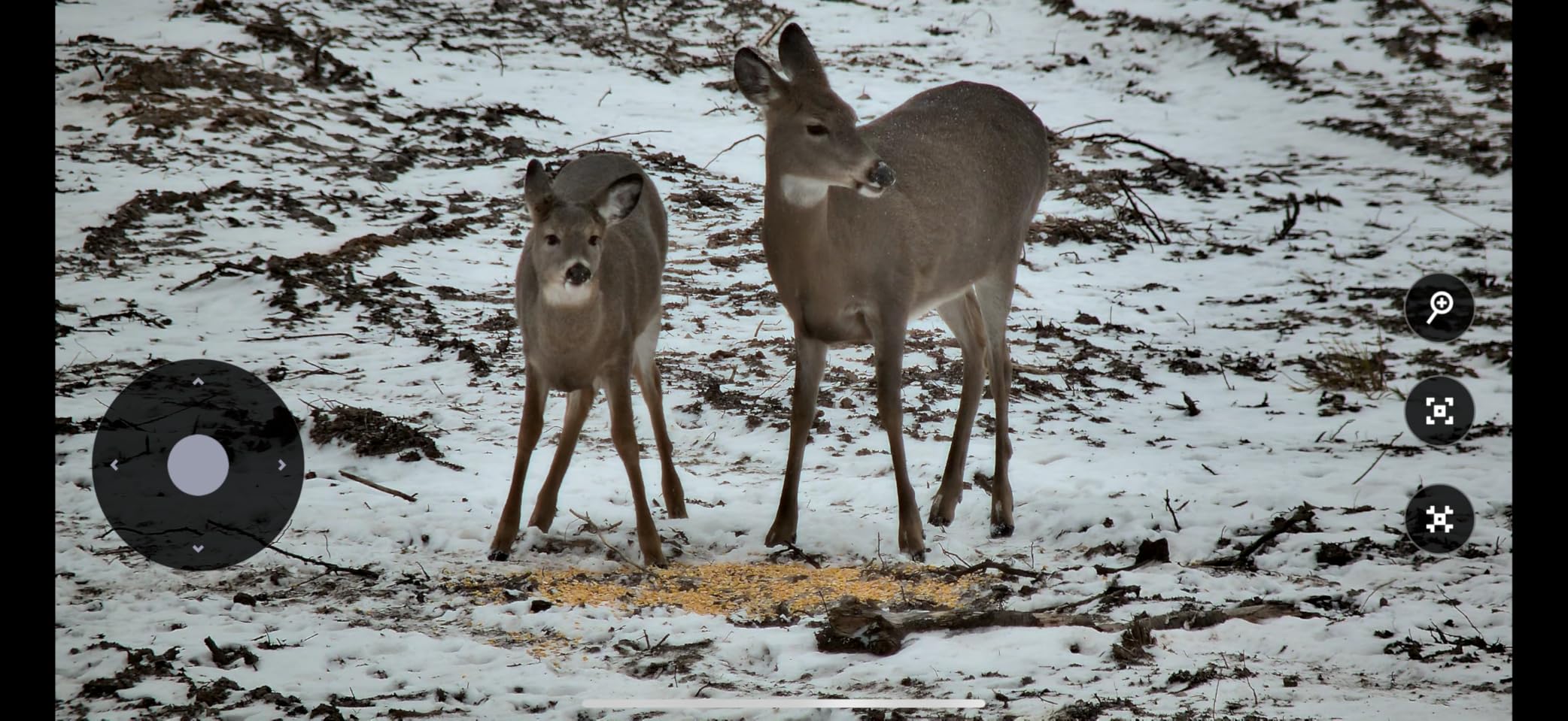 REOLINK RLC-823S2 Smart 4K/8MP UHD PTZ Security Camera with Cutting-Edge 16X Optical Zoom and 3D Zoom, Color Night Vision with Spotlights, Person/Vehicle/Animal Detection, 2 Way Talk, 24/7 Recording - Customer Photo 1