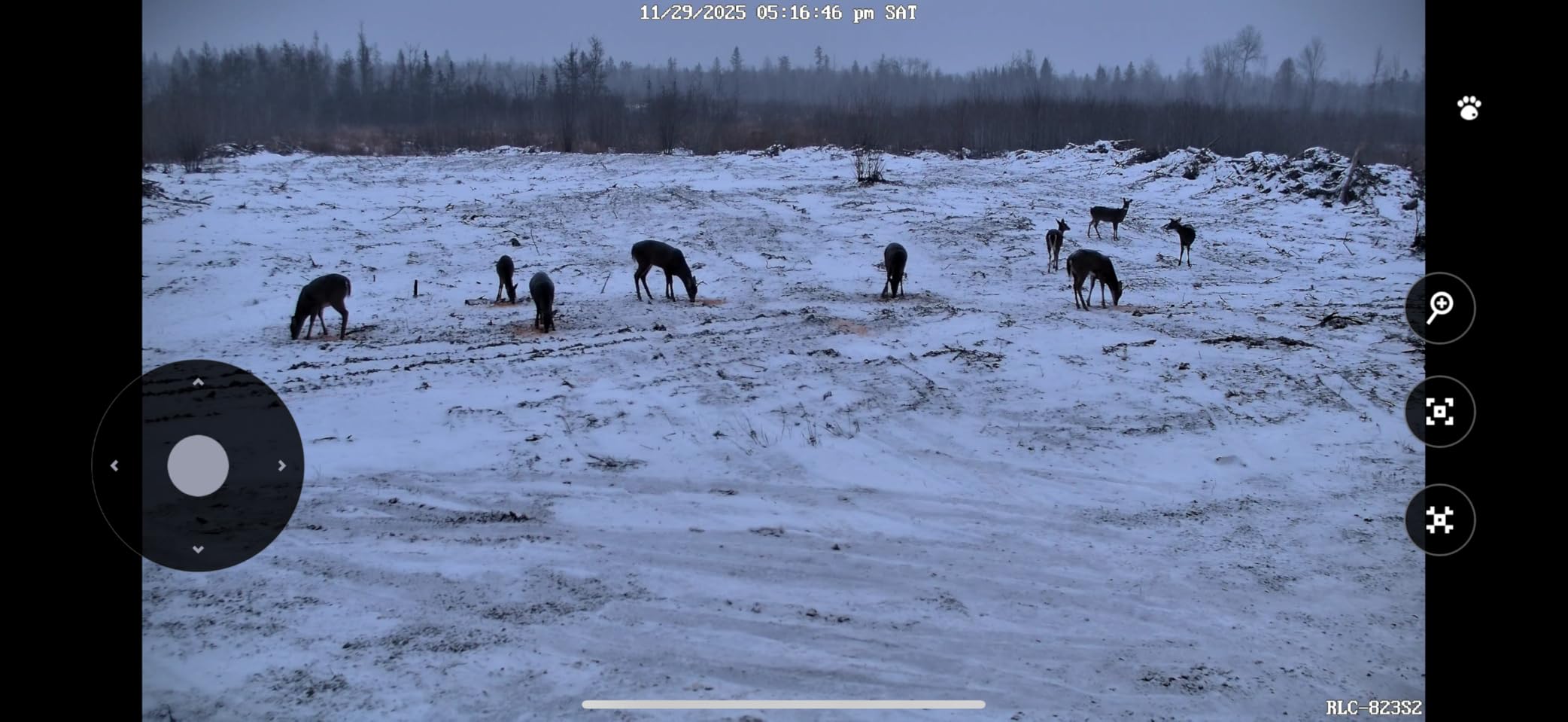 REOLINK RLC-823S2 Smart 4K/8MP UHD PTZ Security Camera with Cutting-Edge 16X Optical Zoom and 3D Zoom, Color Night Vision with Spotlights, Person/Vehicle/Animal Detection, 2 Way Talk, 24/7 Recording - Customer Photo 2