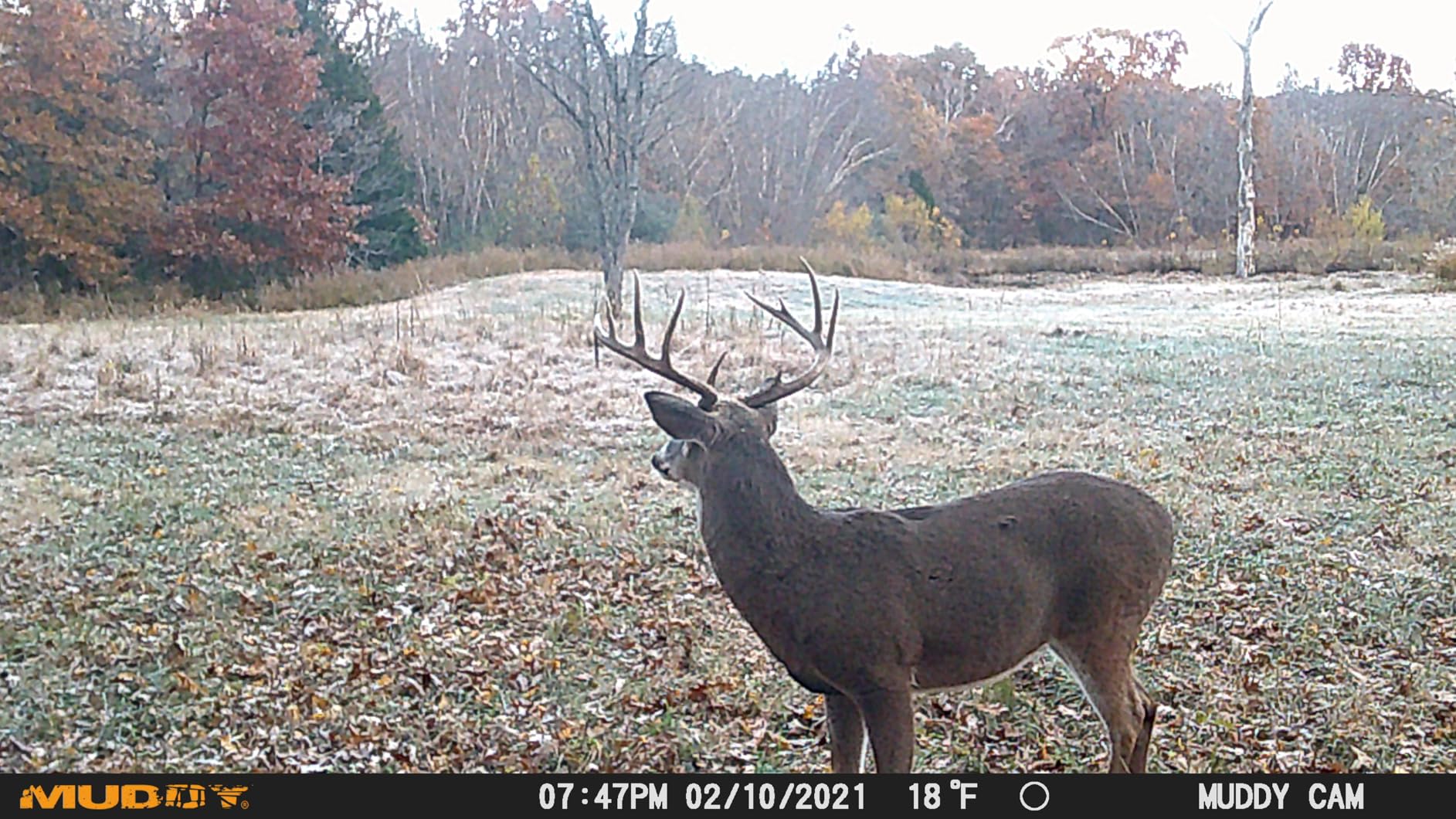 acer SD Card Reader USB C, Dual Slots USB 3.0 Type C to Micro SD Card Adapter, Memory Card Reader for MicroSD, SDHC, SDXC, Compatible with Laptop, PC, iPhone16/15, MacBook Pro/Air, iPad Pro, Android customer photo 1