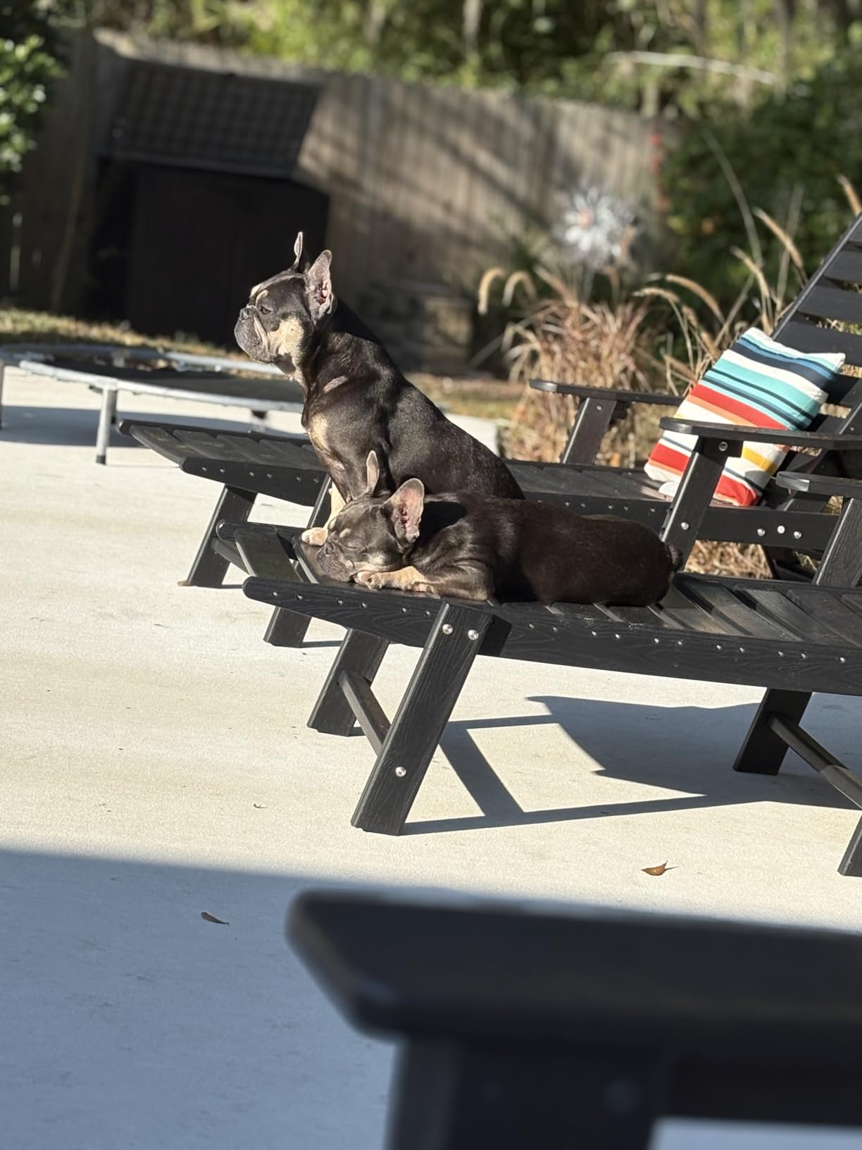 Outdoor Chaise Lounge Chair Set of 2, Patio Lounge Chairs for Outside, HDPE Lounge Chairs with Wheels & Cup Holder, Poly Lounge Chair with 5 Position for Poolside, Deck, White - Customer Photo 1