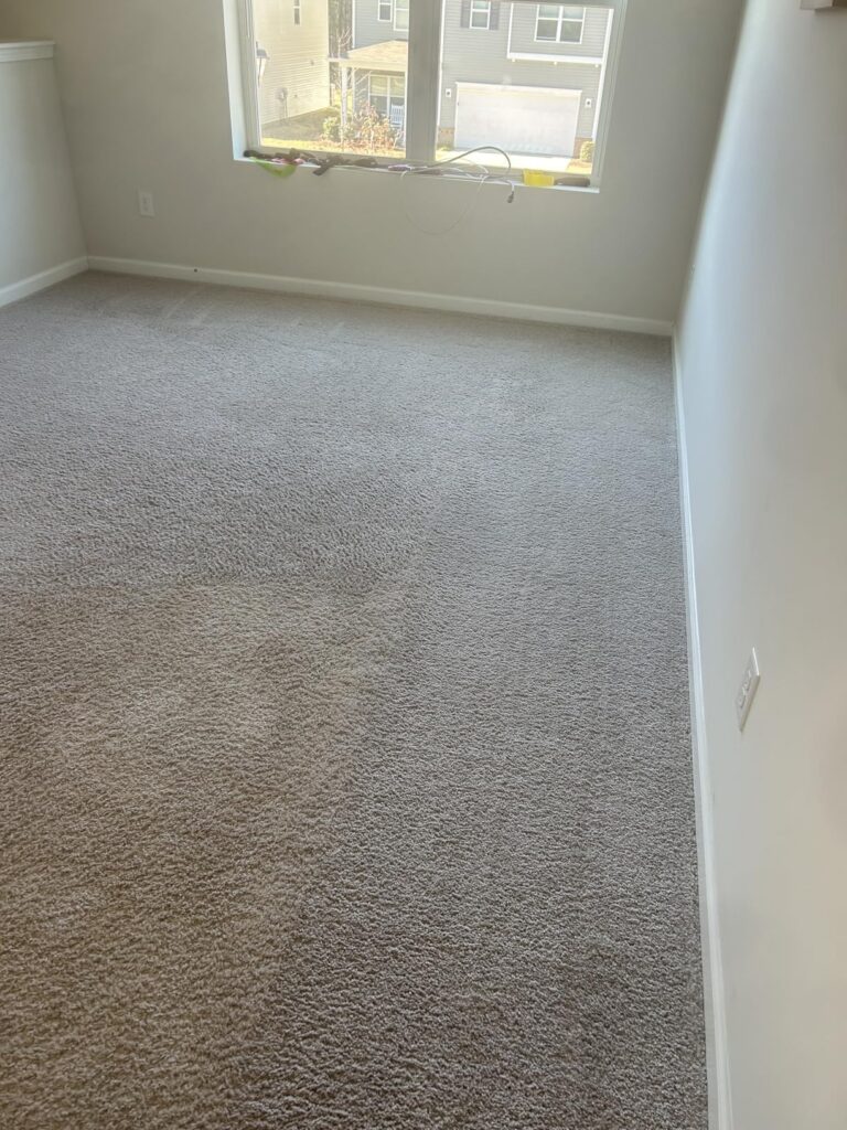 10 Best Carpet Cleaners for Deep Cleaning