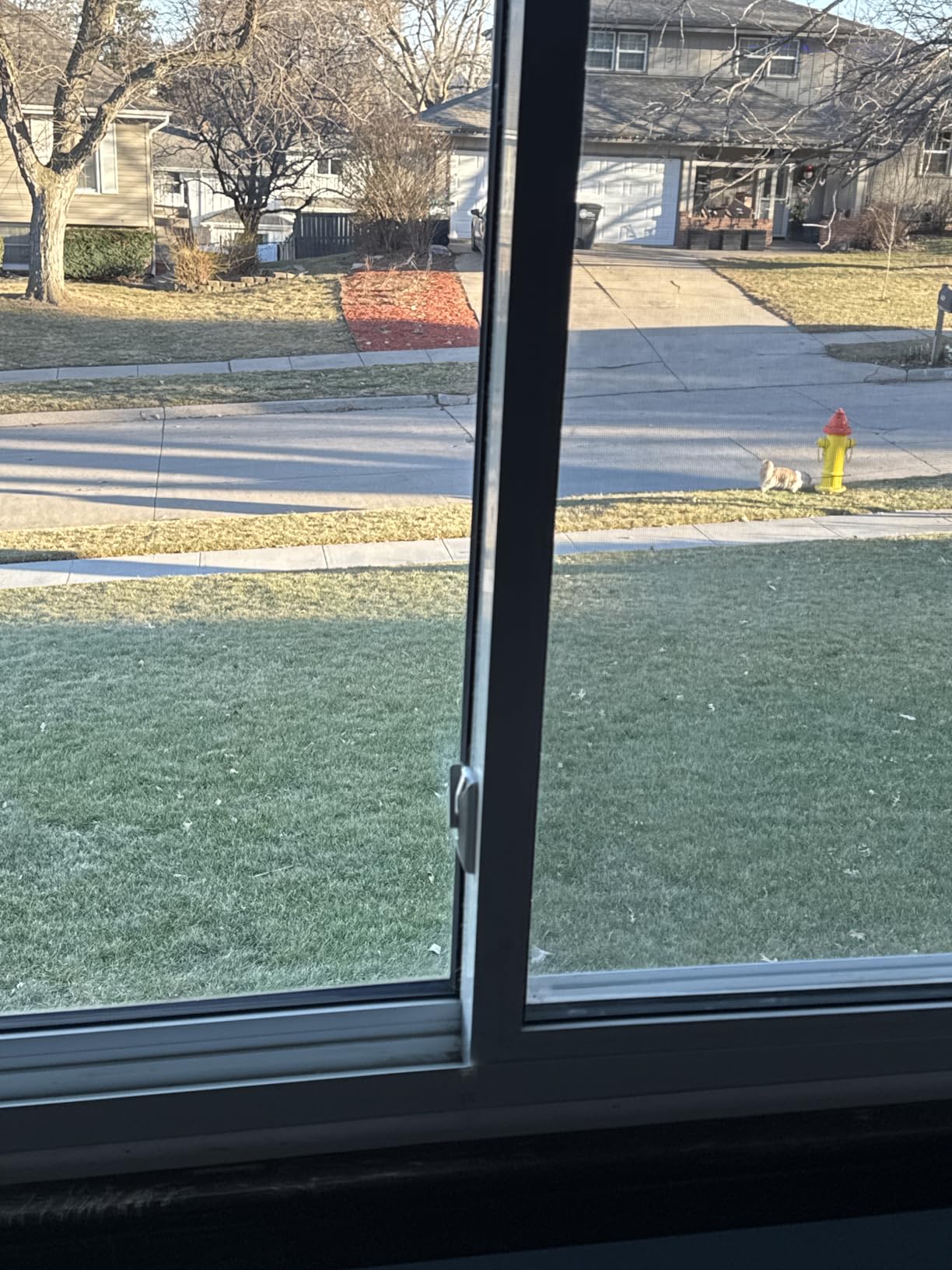 ECOVACS WINBOT Mini Window Cleaning Robot - Compact Design, Dual Nozzles with Ultrasonic Spray, 9-Stage Protection System, Intelligent Path Planning, 3 Cleaning Modes, Anti-Slipping System - Customer Photo 1