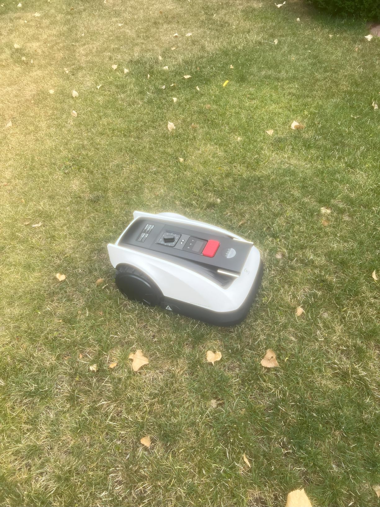 ECOVACS Goat O1000 RTK Robot Lawn Mower, Perimeter Wire Free Vision Robotic Lawnmower for 1/4 Acres Lawn, Automated Mapping, APP Control, 3D Obstacle Avoidance, Zero-Edge Cutting - Customer Photo 3