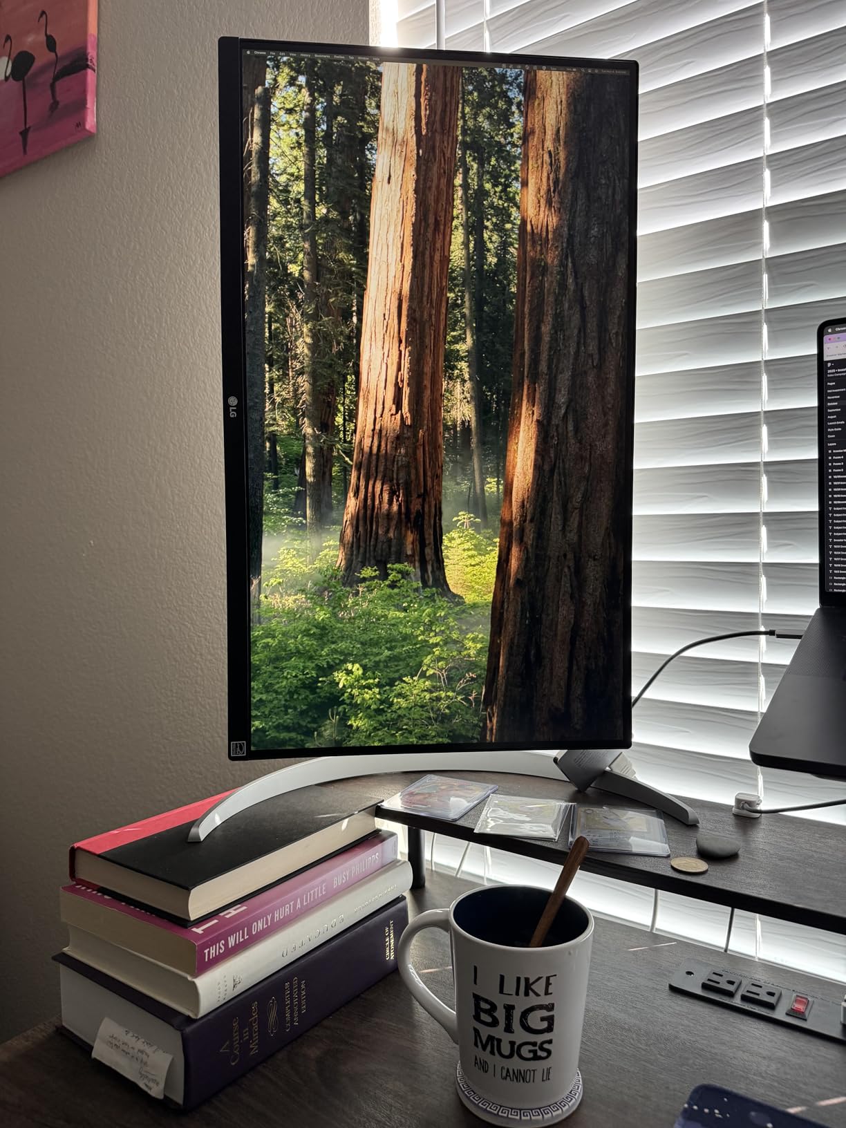 LG 27UP650K-W 27-inch Ultrafine 4K UHD (3840 x 2160) IPS Computer Monitor, 60Hz, 5ms, DisplayHDR 400, Reader Mode, Flicker Safe, HDMI, DisplayPort, Tilt/Height/Pivot Adjustable Stand, White - Customer Photo 1