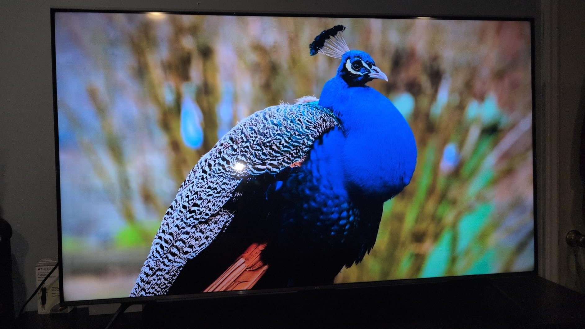 TCL 65 Inch Class QM6K Series | Mini LED QLED 4K HDR | 65QM6K, 2025 Model | 120HZ-144HZ High Brightness Smart Google TV Dolby Atmos Onkyo Audio | Voice Remote Alexa Gaming Streaming Television Customer Review TCL 65 Inch Class QM6K Series | Mini LED QLED 4K HDR | 65QM6K, 2025 Model | 120HZ-144HZ High Brightness Smart Google TV Dolby Atmos Onkyo Audio | Voice Remote Alexa Gaming Streaming Television - Customer Photo 2