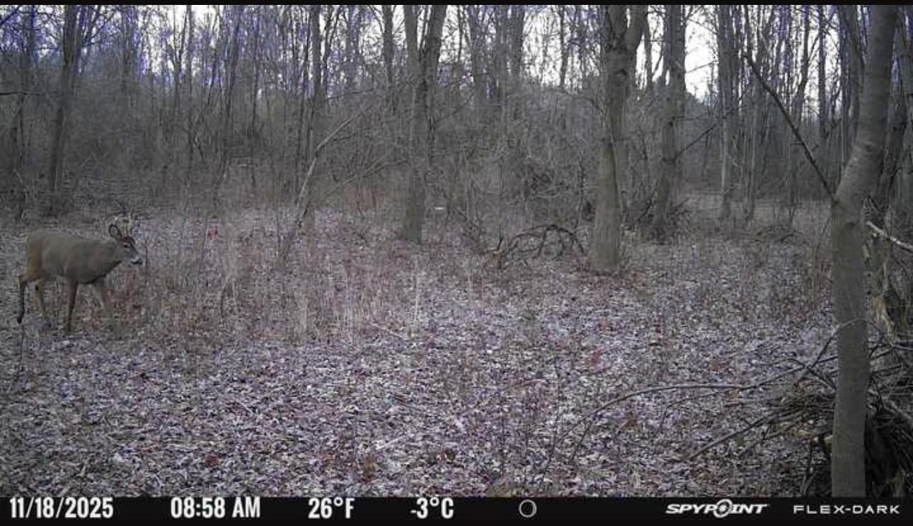 SPYPOINT Flex-Dark Twin Pack Cellular Trail Camera, 40MP Photos, 1080p Video + Sound, No-Glow Game Camera, Hunting Night Vision, Motion Activated,100ft Detection, No WiFi Needed Trail Cam - Customer Photo 1