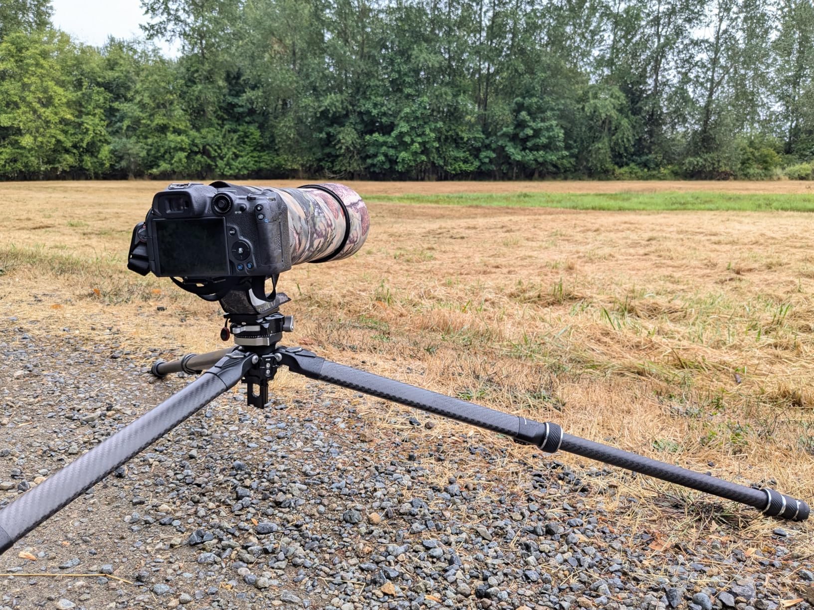 Falcam TreeRoot F38 Pro Carbon Fiber Tripod, 61