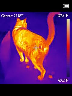H128 Handheld Thermal Camera, 240 x 240 TISR Resolution, 24h Battery Life Thermal Imaging Camera, 25 Hz Infrared Camera with Temperature Alarm, -4℉~ 842℉ Temp Range, IP65 Protection Level - Customer Photo 1