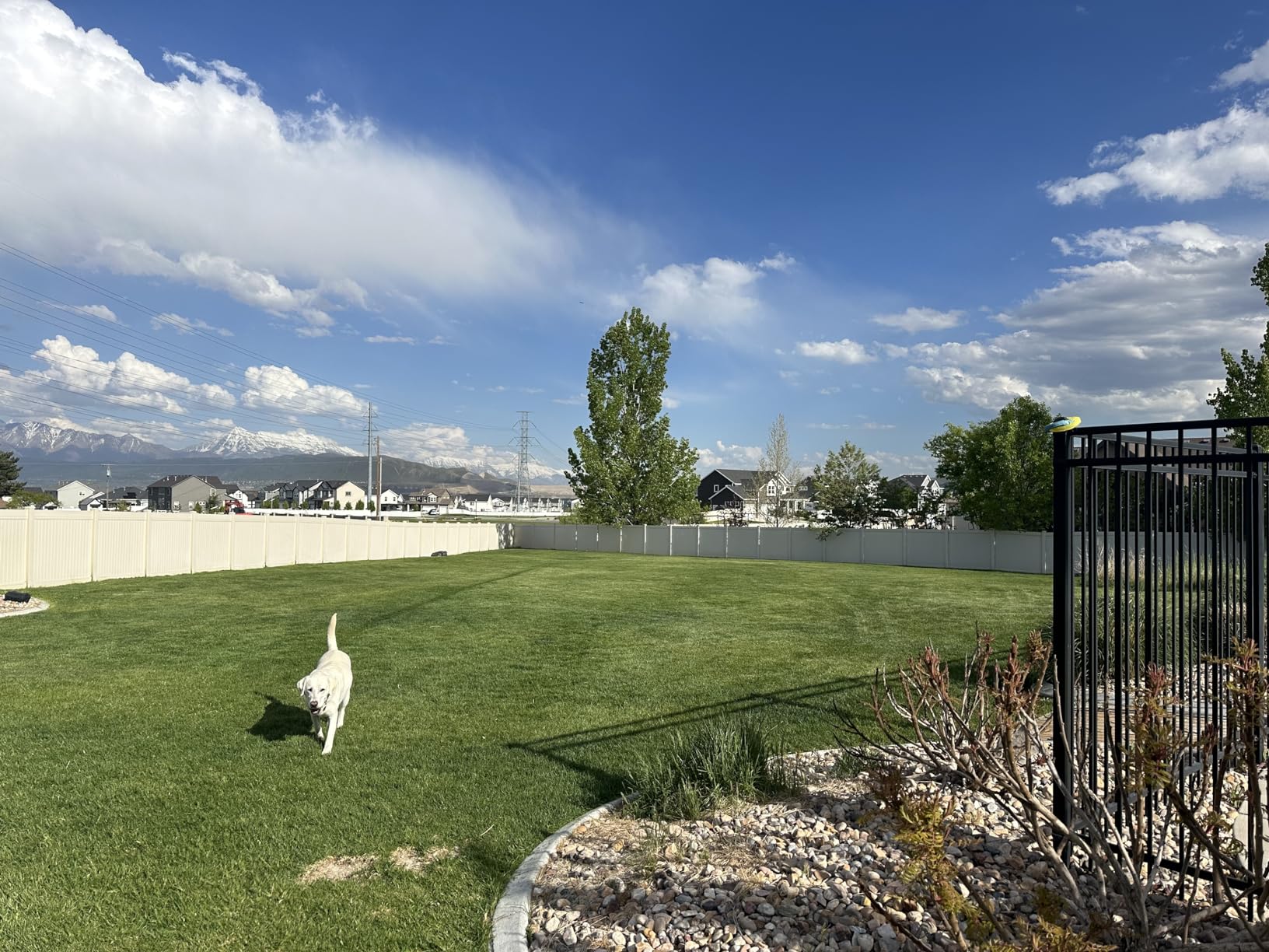 Product - Customer Photo 2