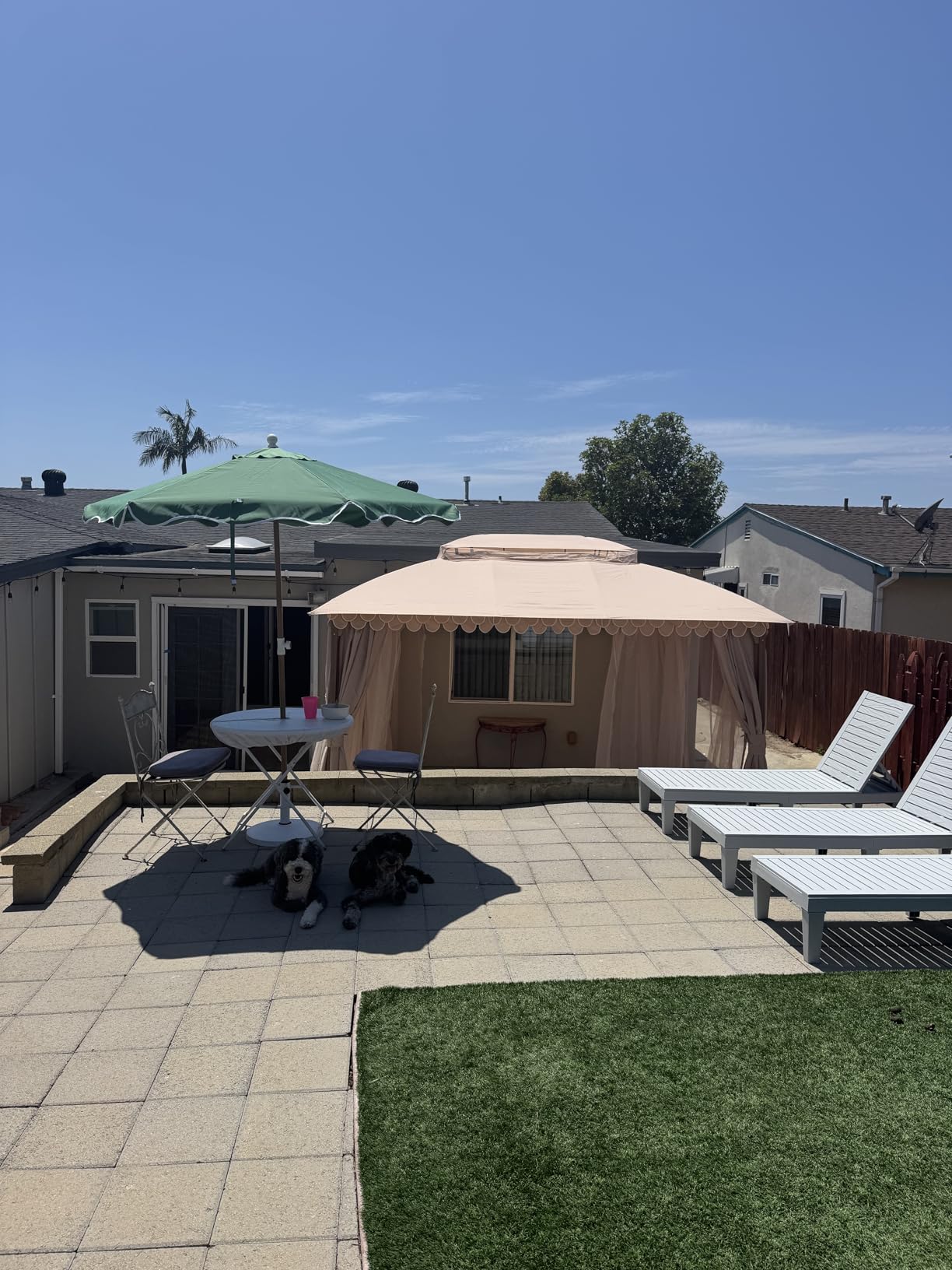 YITAHOME Outdoor Chaise Lounge Chair, Plastic Pool Chaise Lounge with Cushions & 5-Position Backrest, Easy Assembly & Waterproof for Patio & Poolside, Set of 2, Brown - Customer Photo 1