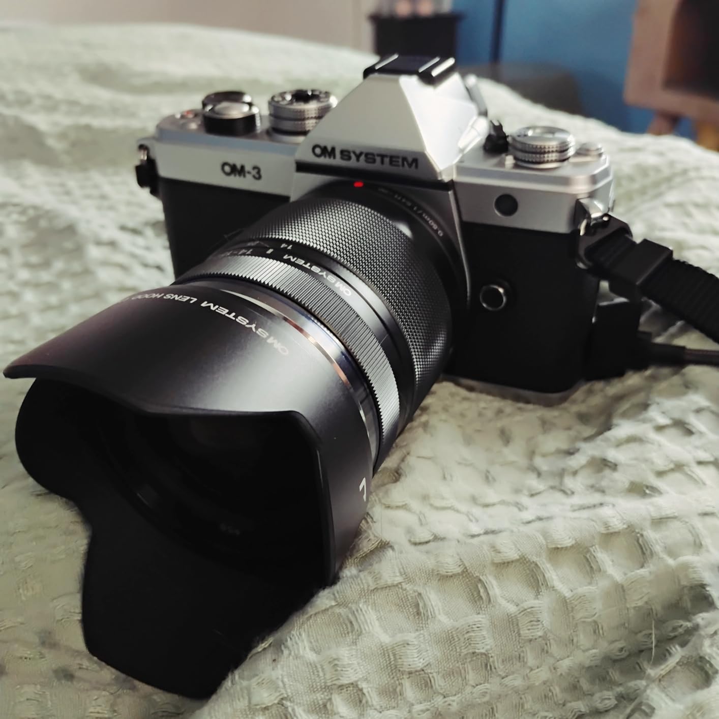 Olympus OM-3 Silver Micro Four Thirds System Camera M.Zuiko Digital ED 12-45mm F4.0 PRO kit Travel Camera Weather Sealed Design 5-Axis Image Stabilization customer photo 1