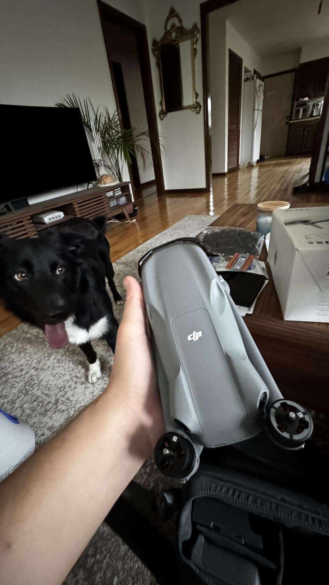 DJI Air 3S Drone with RC 2 Fly More Combo (with Screen) 4K HDR, 45-Min Max Flight Time Bundle with 128GB Memory, Landing Pad, Backpack, CPS 2 Year Warranty, Lens Cleaning Kit and More - Customer Photo 1