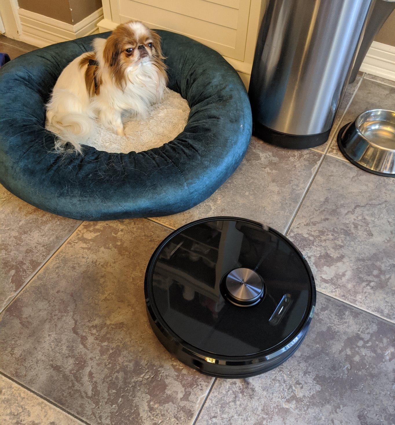 roborock Q7 M5+ Robot Vacuum and Mop, Upgraded from Q5 Max+, Up to 7-9 Weeks Self-Empty, 10000Pa Suction, Dual Anti-Tangle System for Pet Hair & Carpet, PreciSense LiDAR Navigation, App Control, White - Customer Photo 1