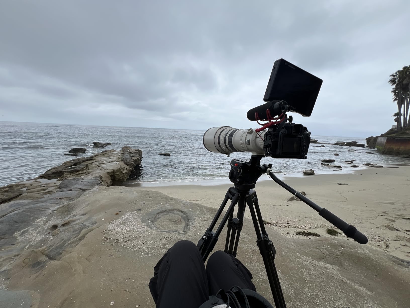 Manfrotto 055 Video Tripod w/502 Video Fluid Head, Aluminium, Professional Heavy Duty System, with Levelling Column, Lever Lock, Camera Tripod Stand, for DSLR/Mirrorless Cameras, Camcorders - Customer Photo 1