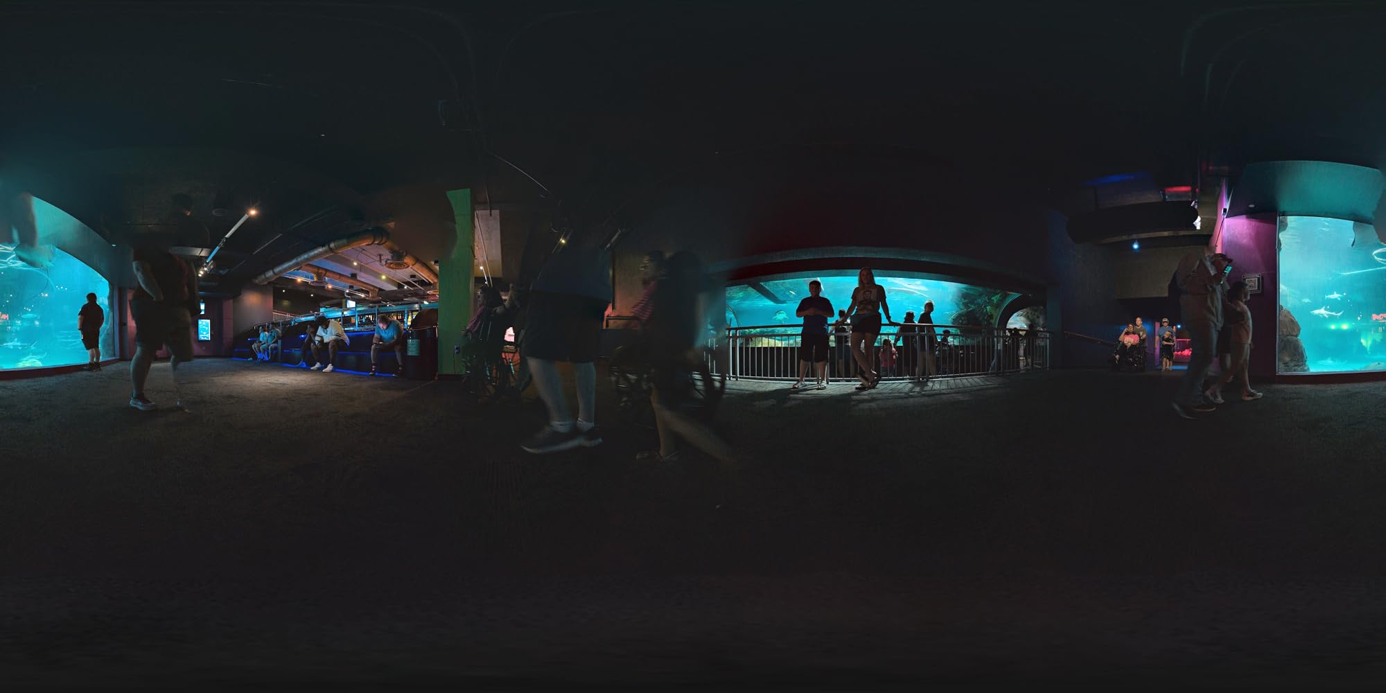 Insta360 Flow 2 Pro AI Tracker Bundle Grey - Industry-First AI Phone Gimbal with Apple DockKit, Pioneering 360 Pan Tracking, Free Tilt, Built-in Tripod/Selfie Stick, Portable Vlog/Travel Stabilizer - Customer Photo 4