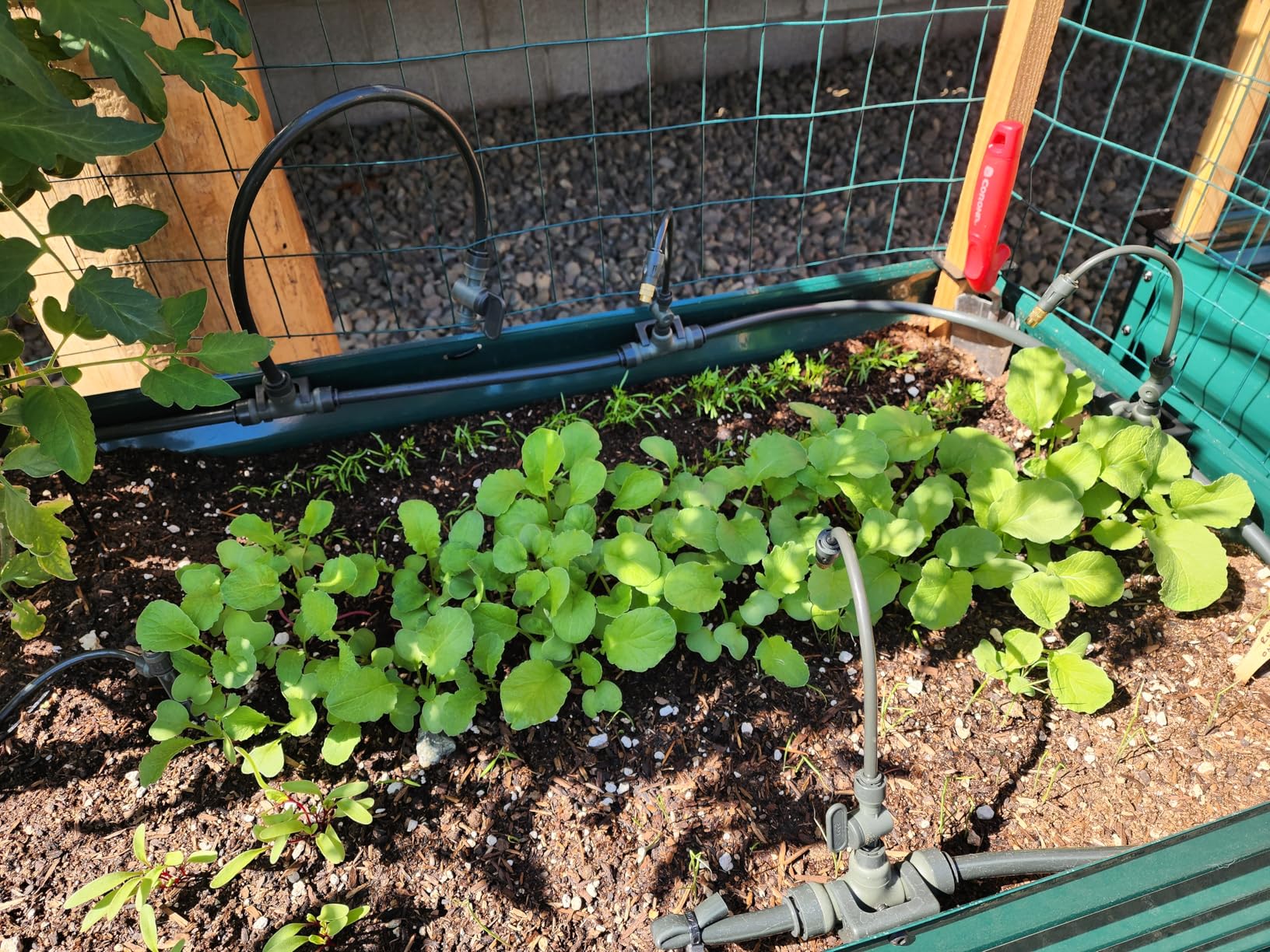 Vego Garden Irrigation Kit - Drip Irrigation System for Raised Garden Beds, Efficient Watering Solution for Vegetables, Flowers, and Plants, Easy DIY Installation (Large) - Customer Photo 5