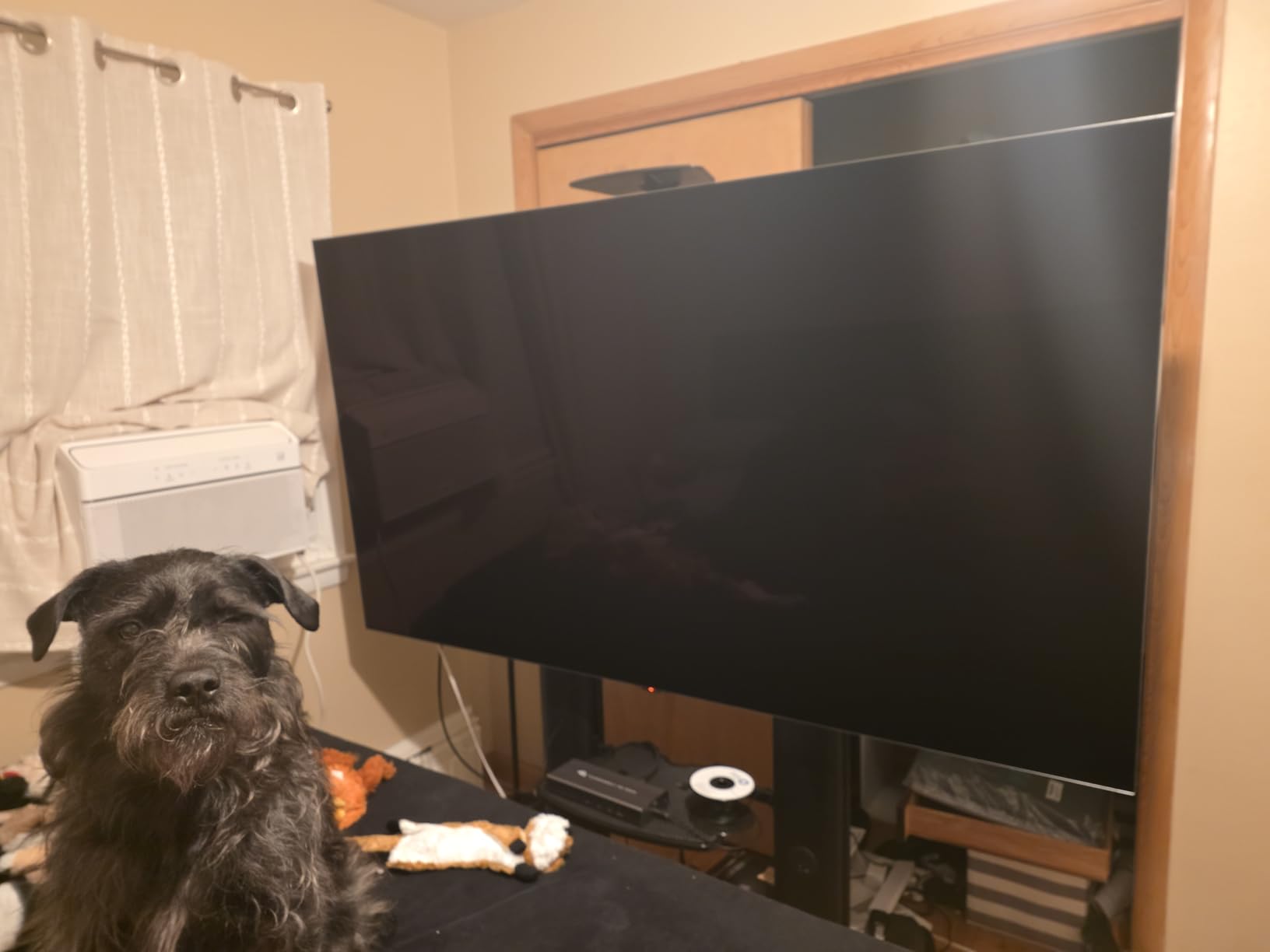 LG 55-Inch Class OLED evo AI 4K G5 Series Smart TV w/Dolby Atmos, Dolby Vision, HDR10, AI Super Upscaling 4K, Filmmaker Mode, Wow Orchestra, Alexa Built-in (OLED55G5WUA, 2025) - Customer Photo 1