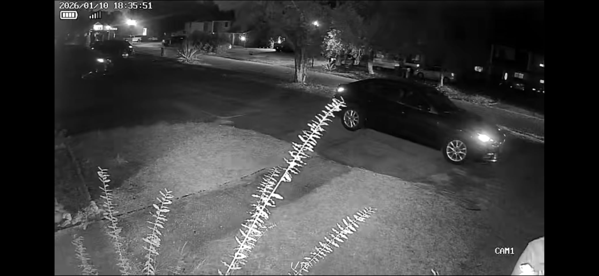 Hiseeu Solar Security Cameras Wireless Outdoor, 4 Cam-Kit, No Subscription, Expandable to 10CH, Wireless Home Security Camera System with 2K Color Night Vision, PIR/AI Detection, IP66, 2.4G & 5G WiFi - Customer Photo 2