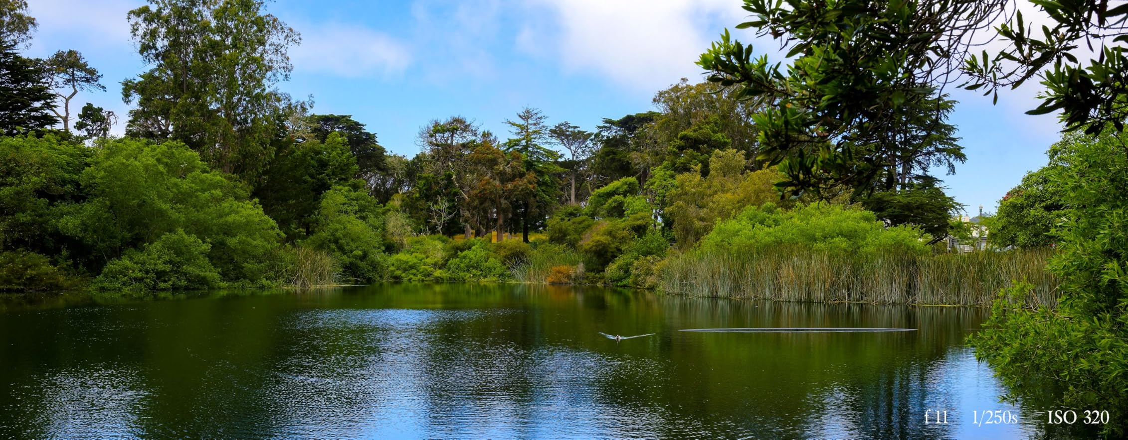 GFX100RF Medium Format Camera - Black customer photo 1